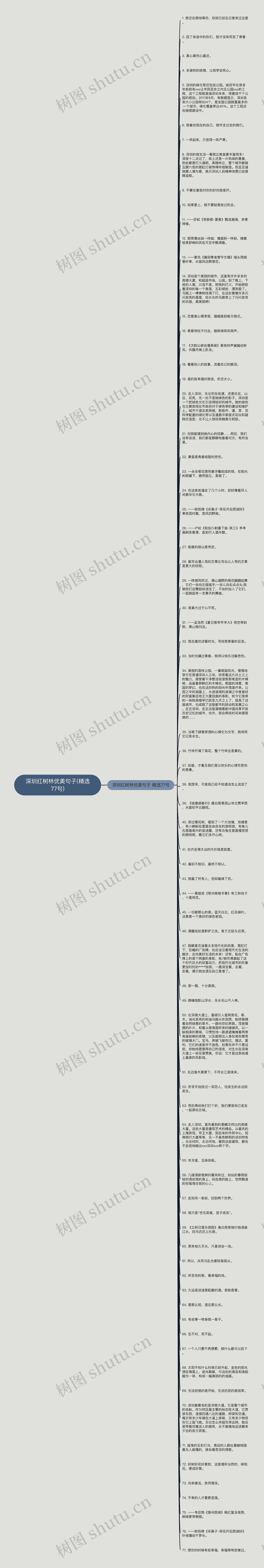 深圳红树林优美句子(精选77句)