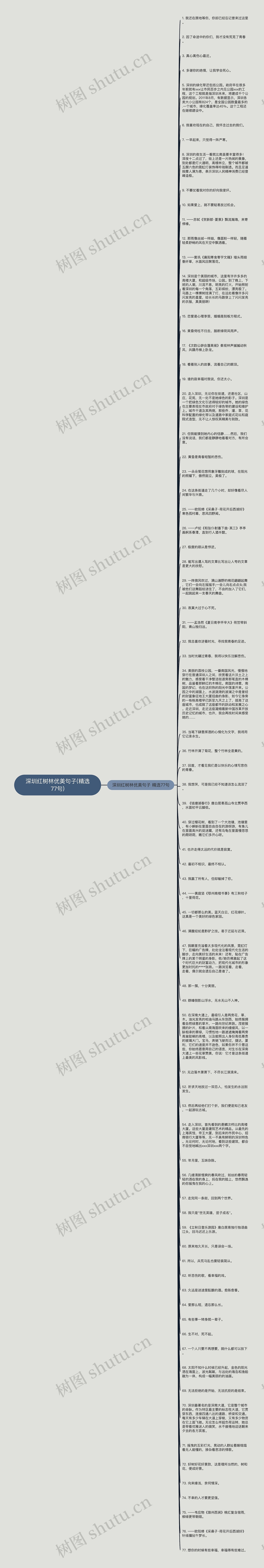 深圳红树林优美句子(精选77句)思维导图