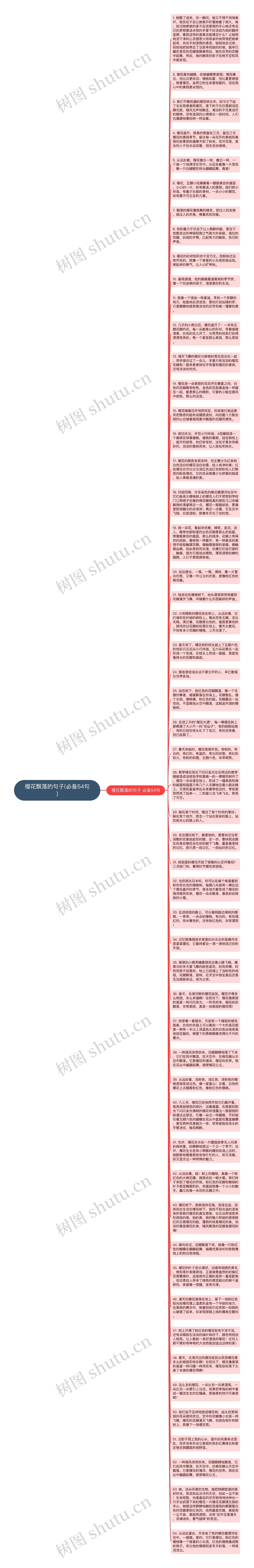 樱花飘落的句子(必备54句)思维导图