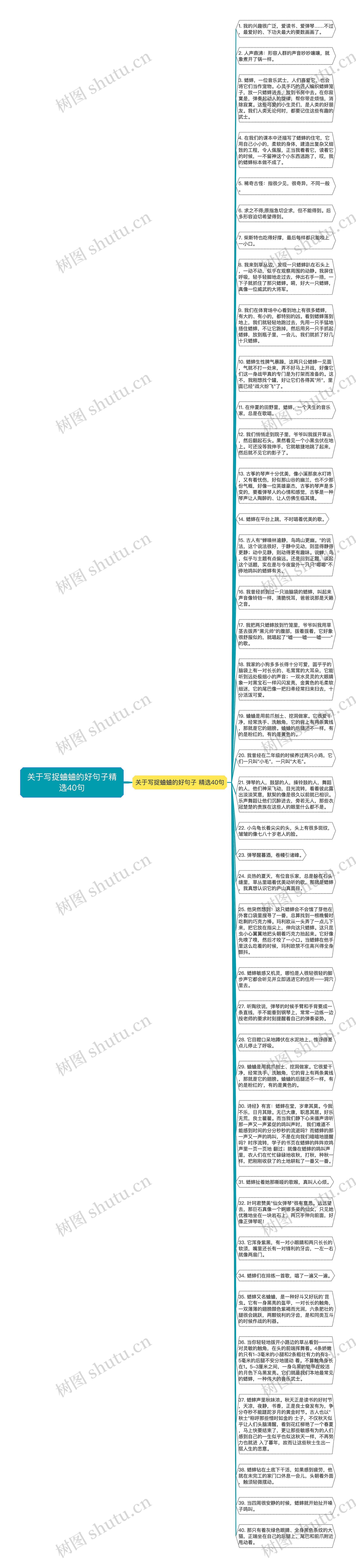 关于写捉蛐蛐的好句子精选40句