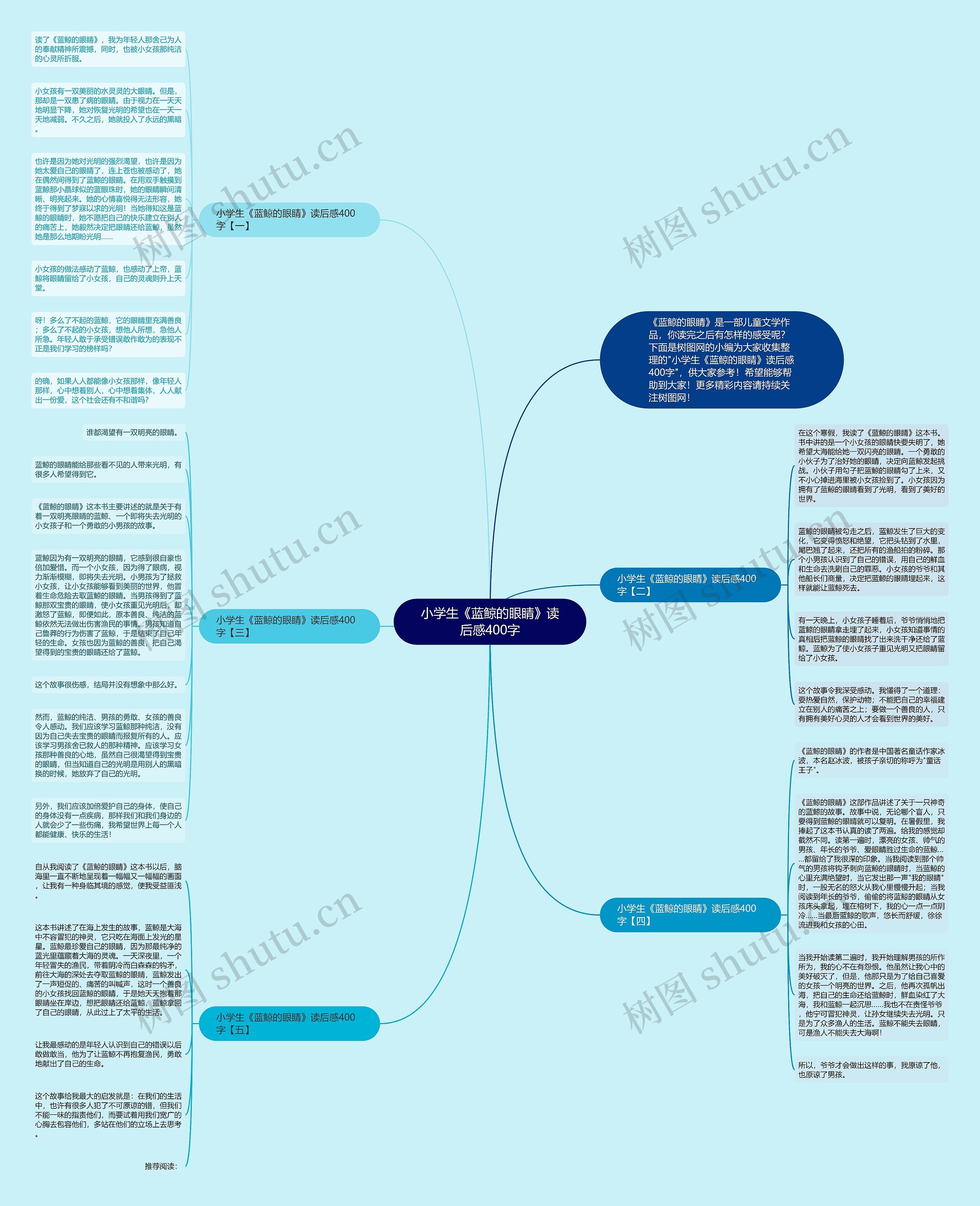 小学生《蓝鲸的眼睛》读后感400字思维导图