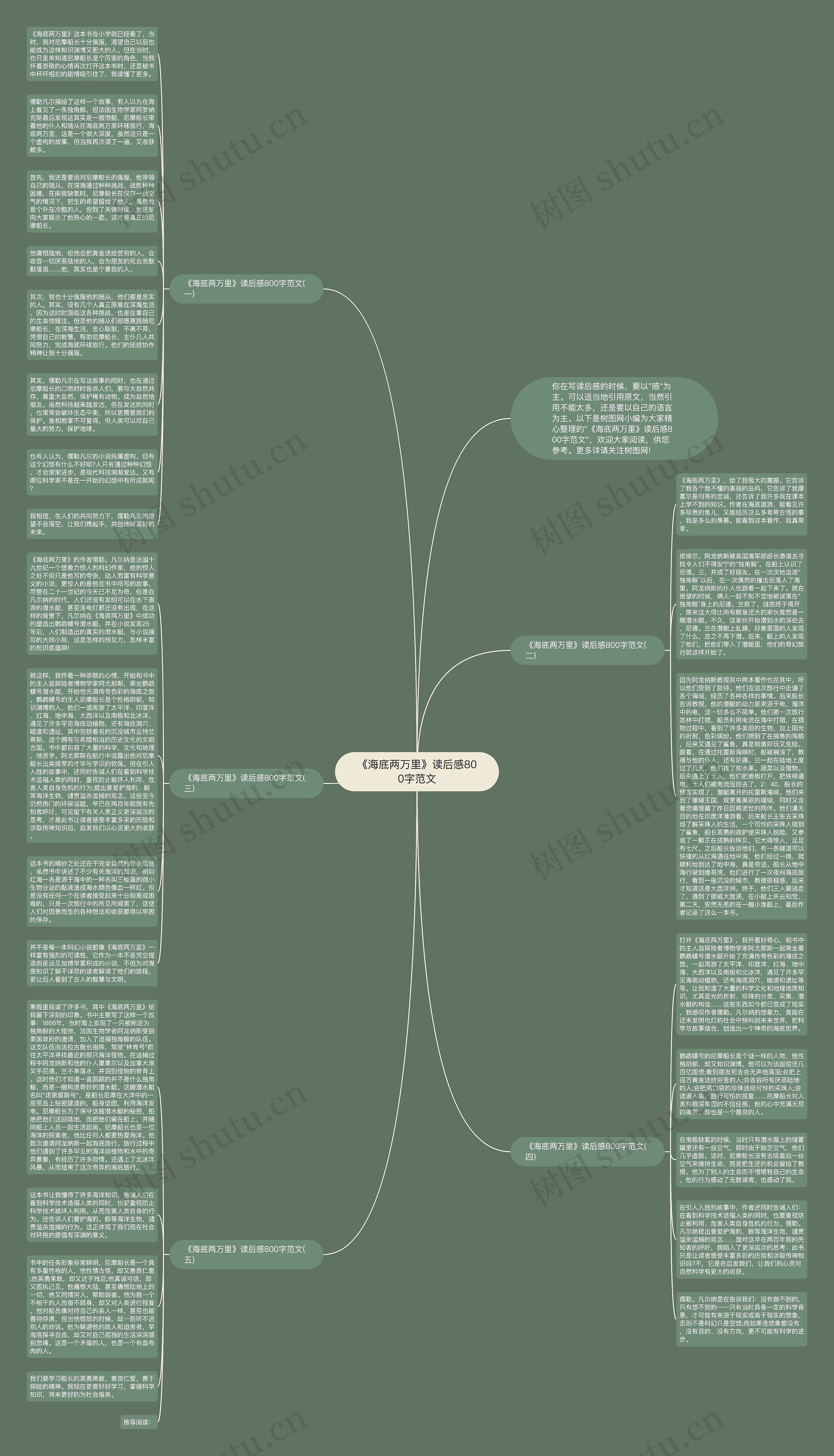 《海底两万里》读后感800字范文思维导图