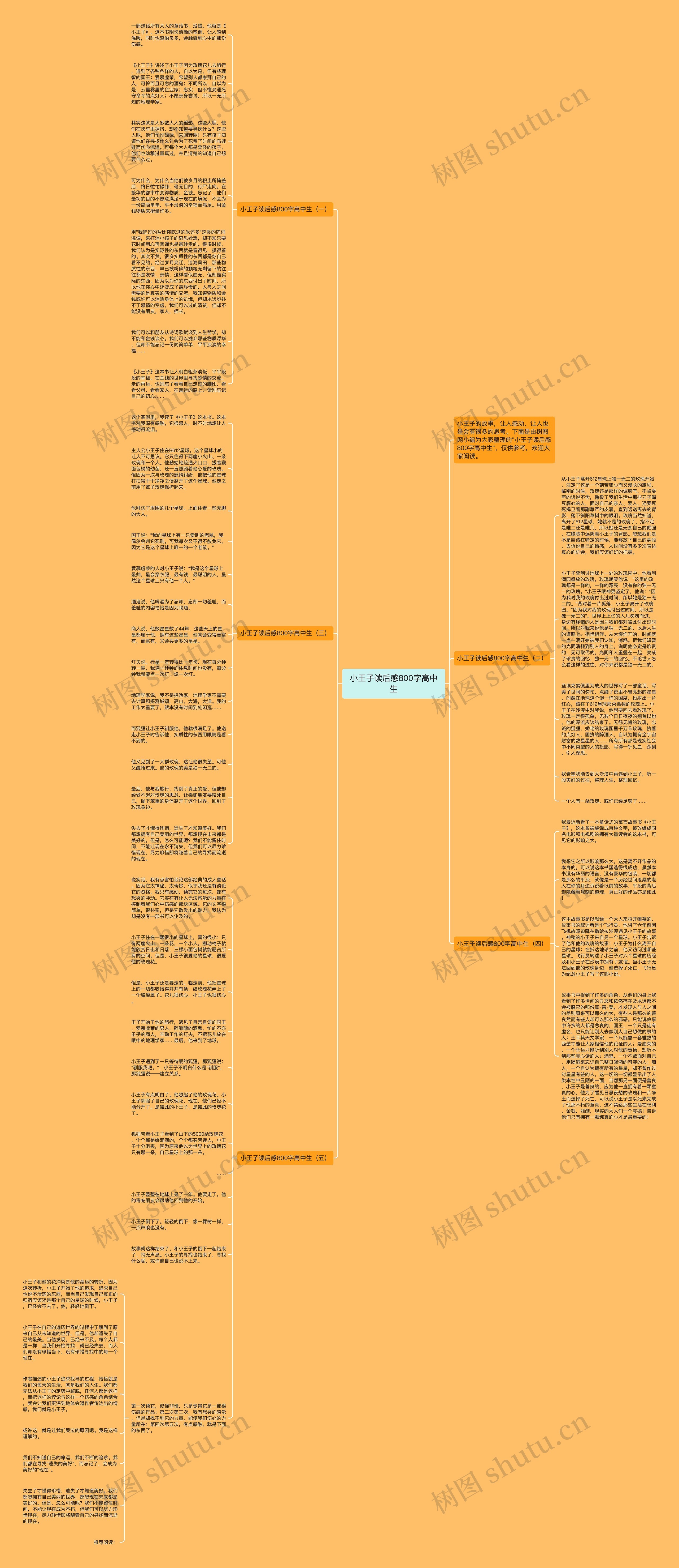 小王子读后感800字高中生思维导图