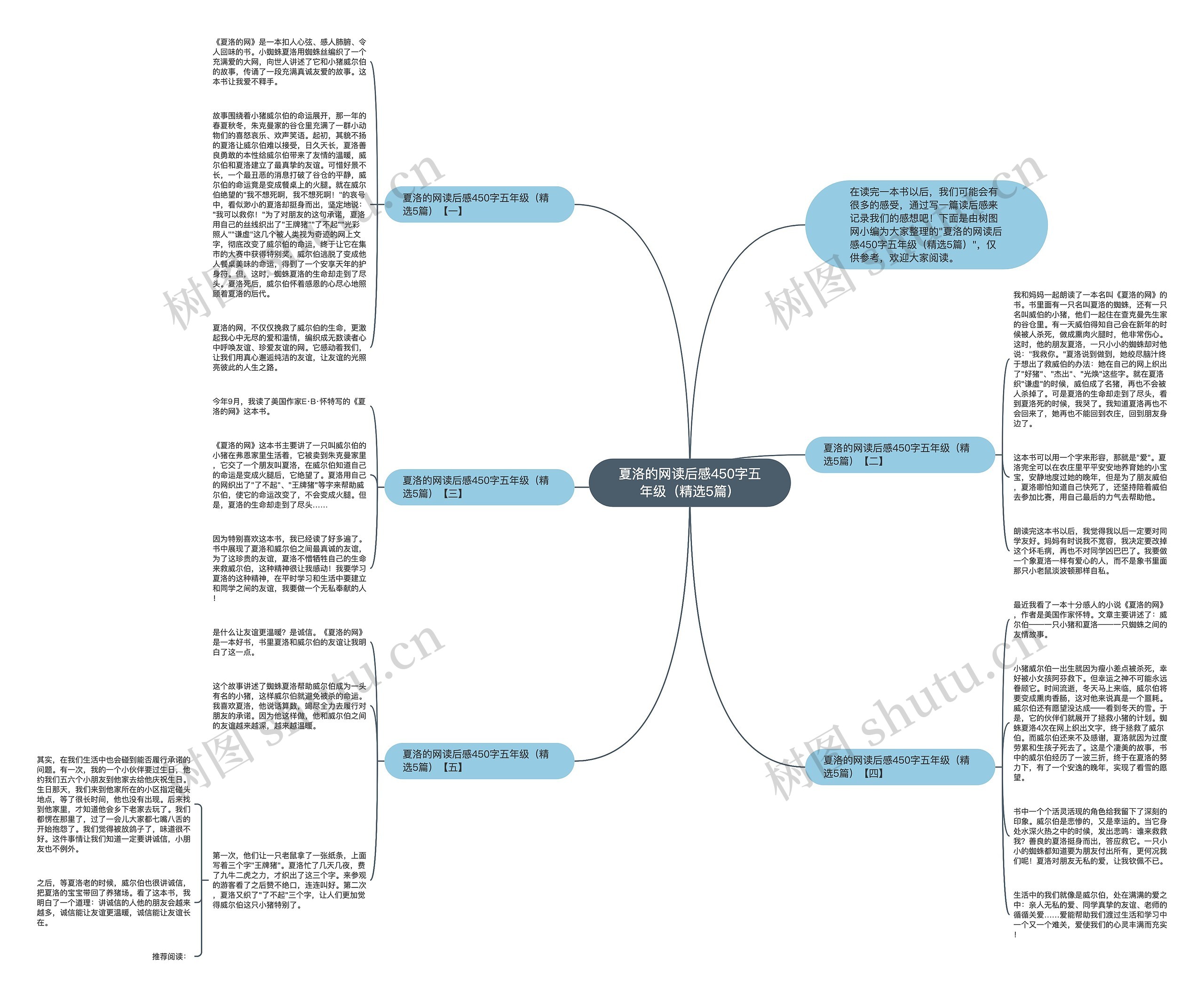 夏洛的网读后感450字五年级（精选5篇）思维导图