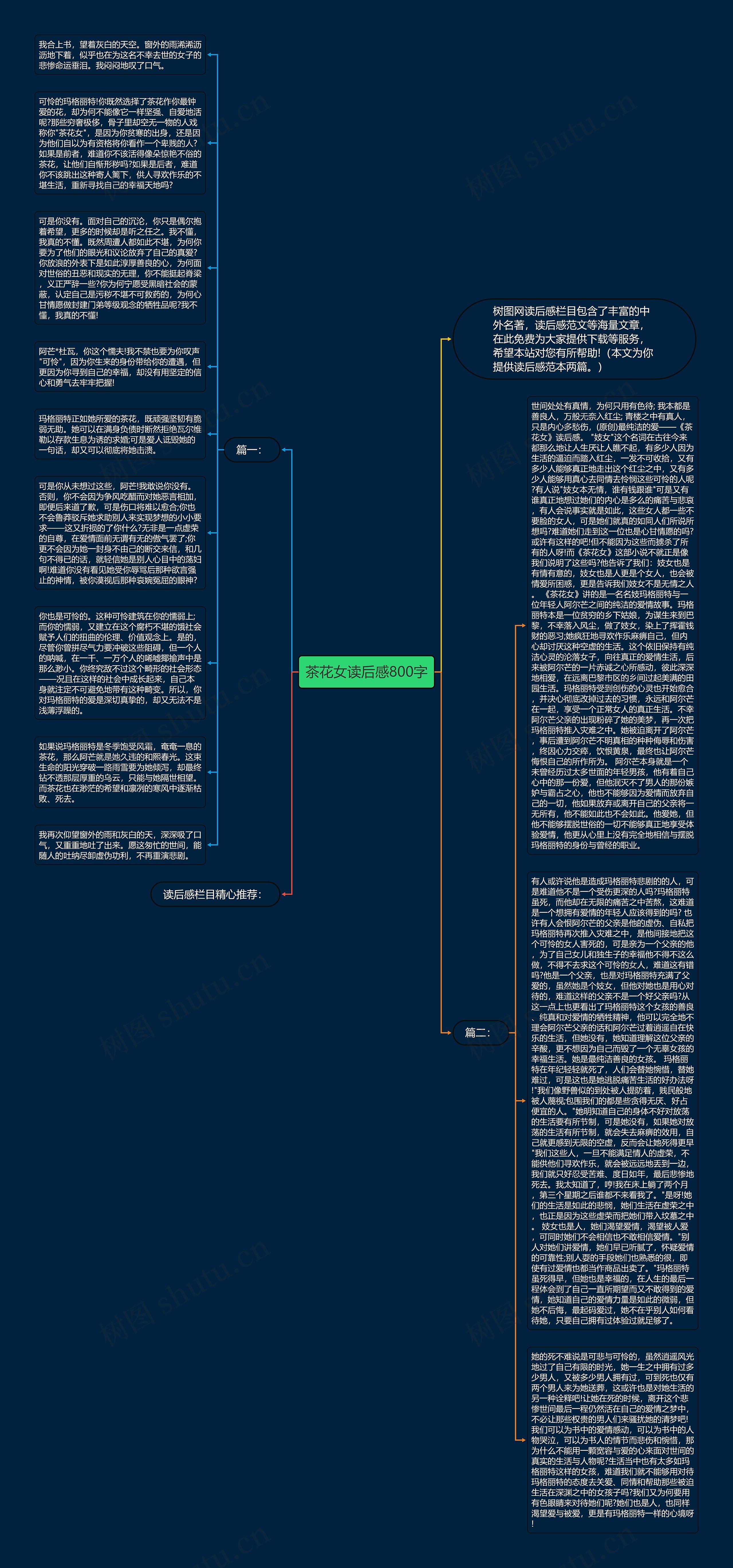 茶花女读后感800字