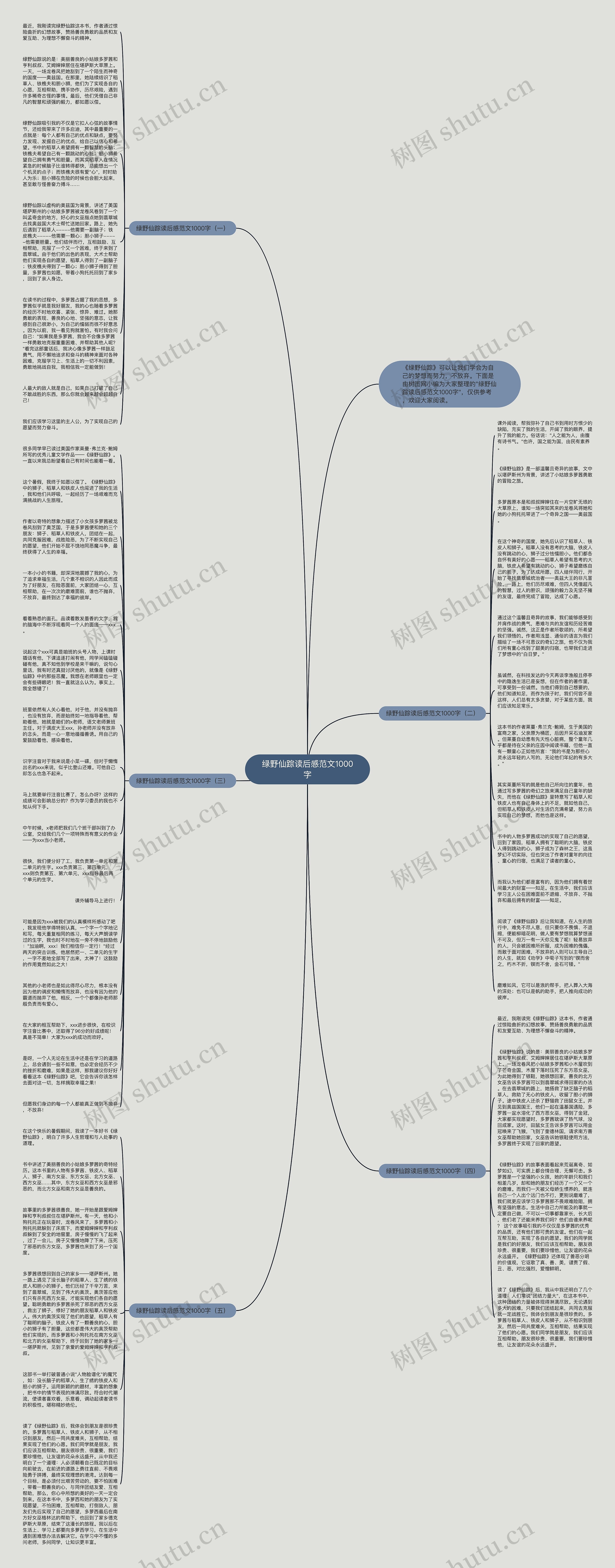 绿野仙踪读后感范文1000字思维导图