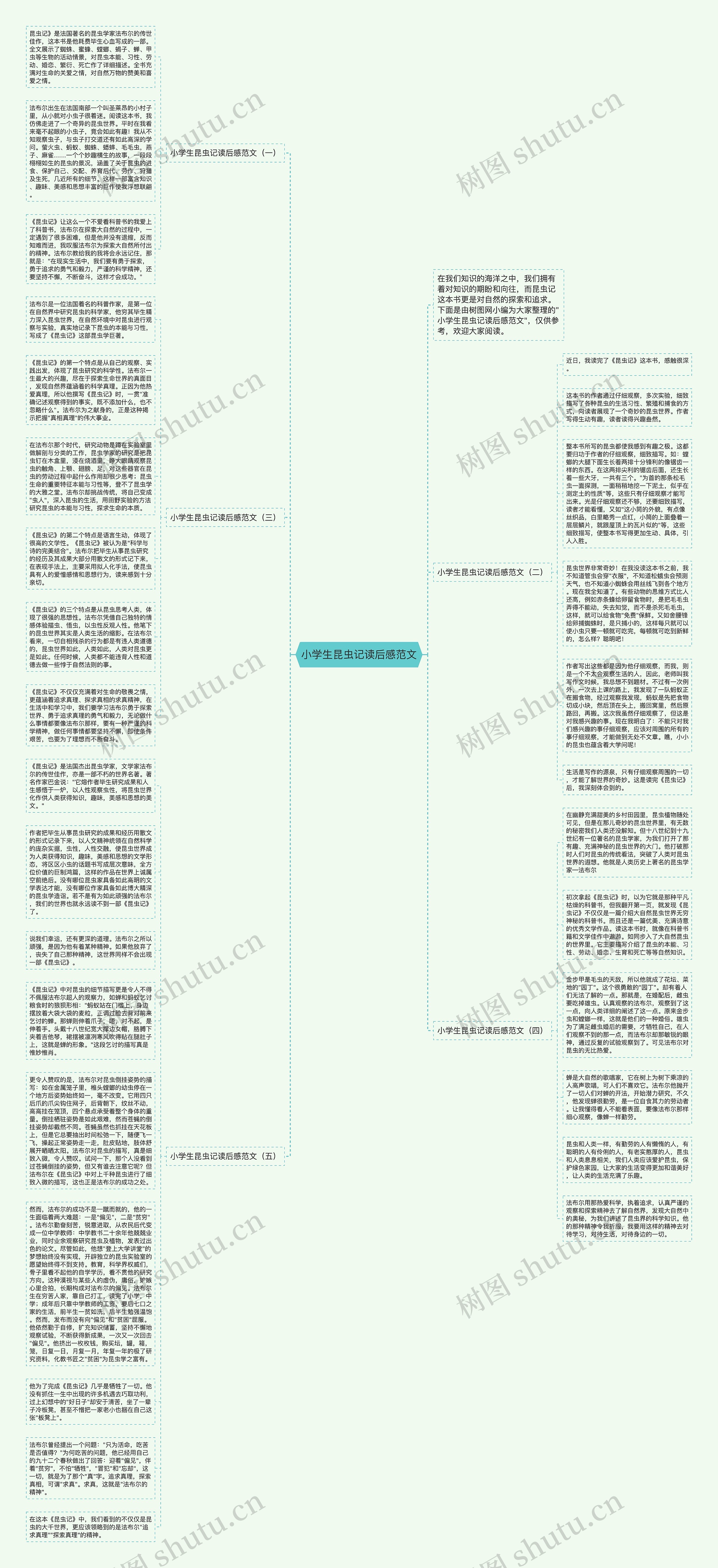小学生昆虫记读后感范文思维导图