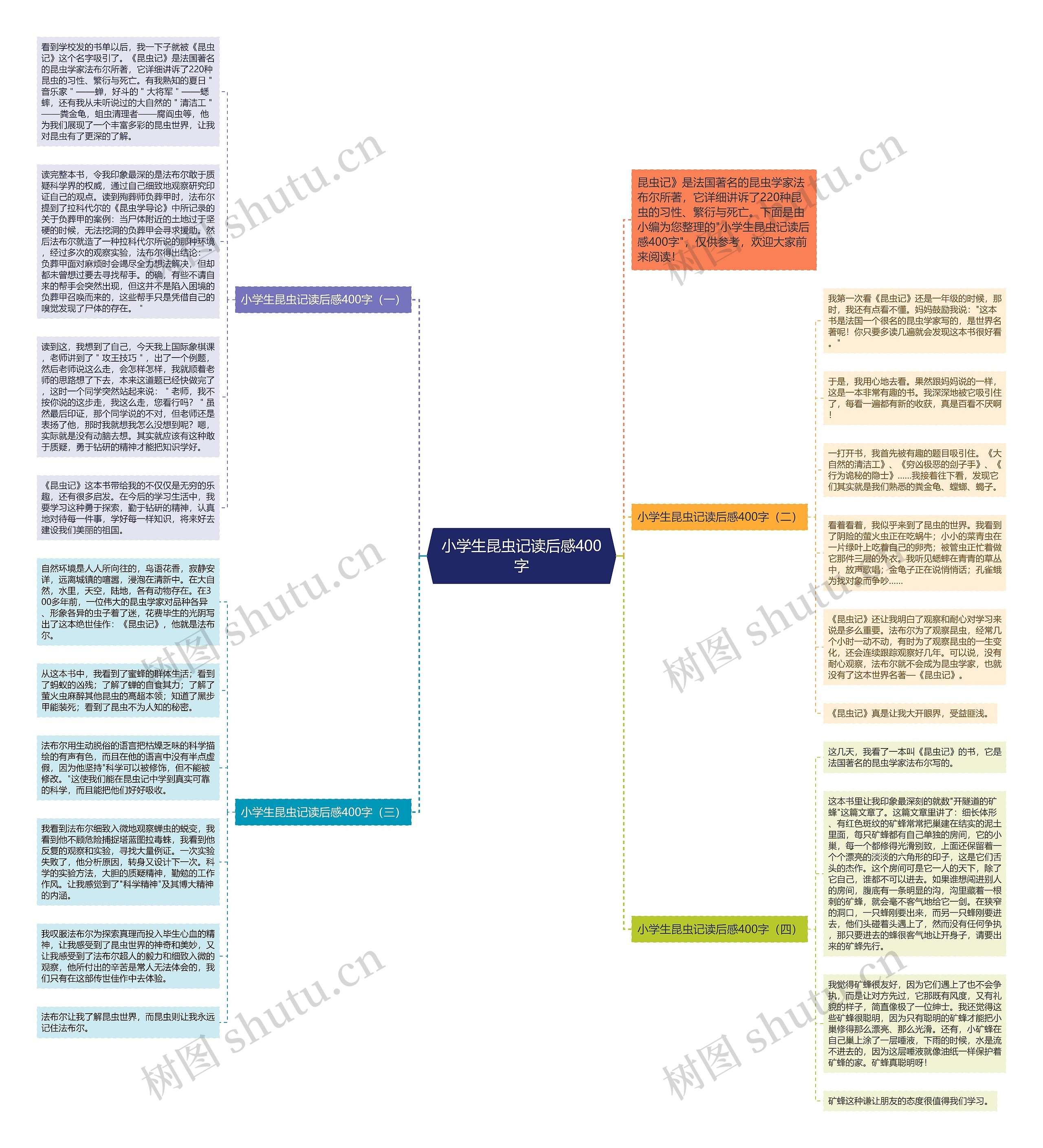 小学生昆虫记读后感400字思维导图