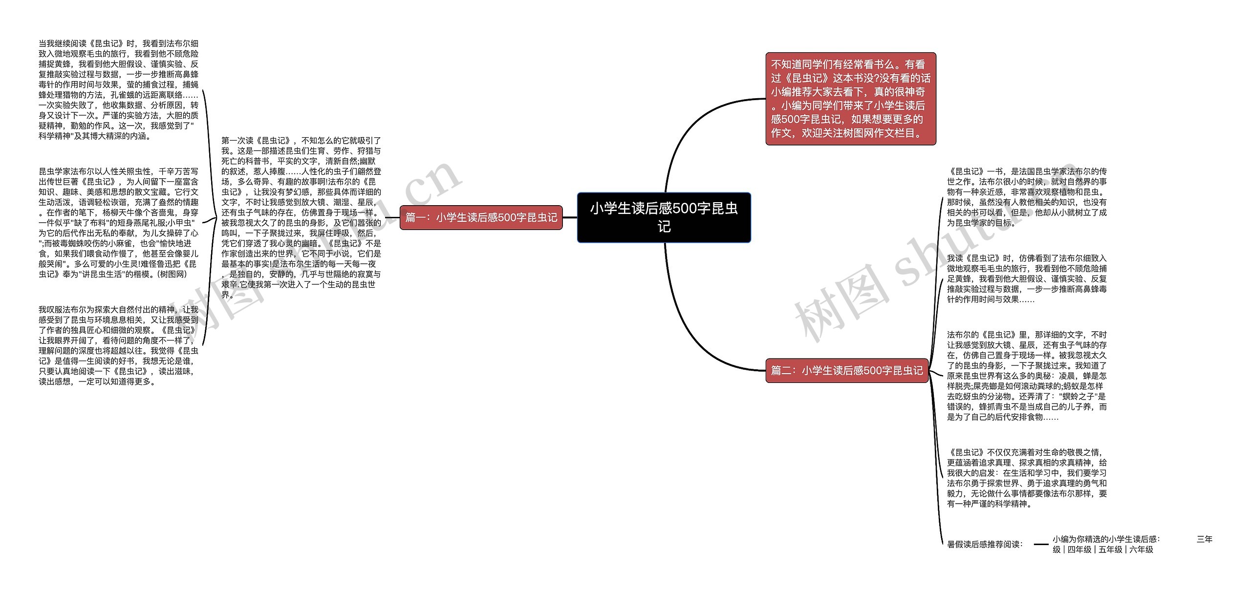 小学生读后感500字昆虫记思维导图