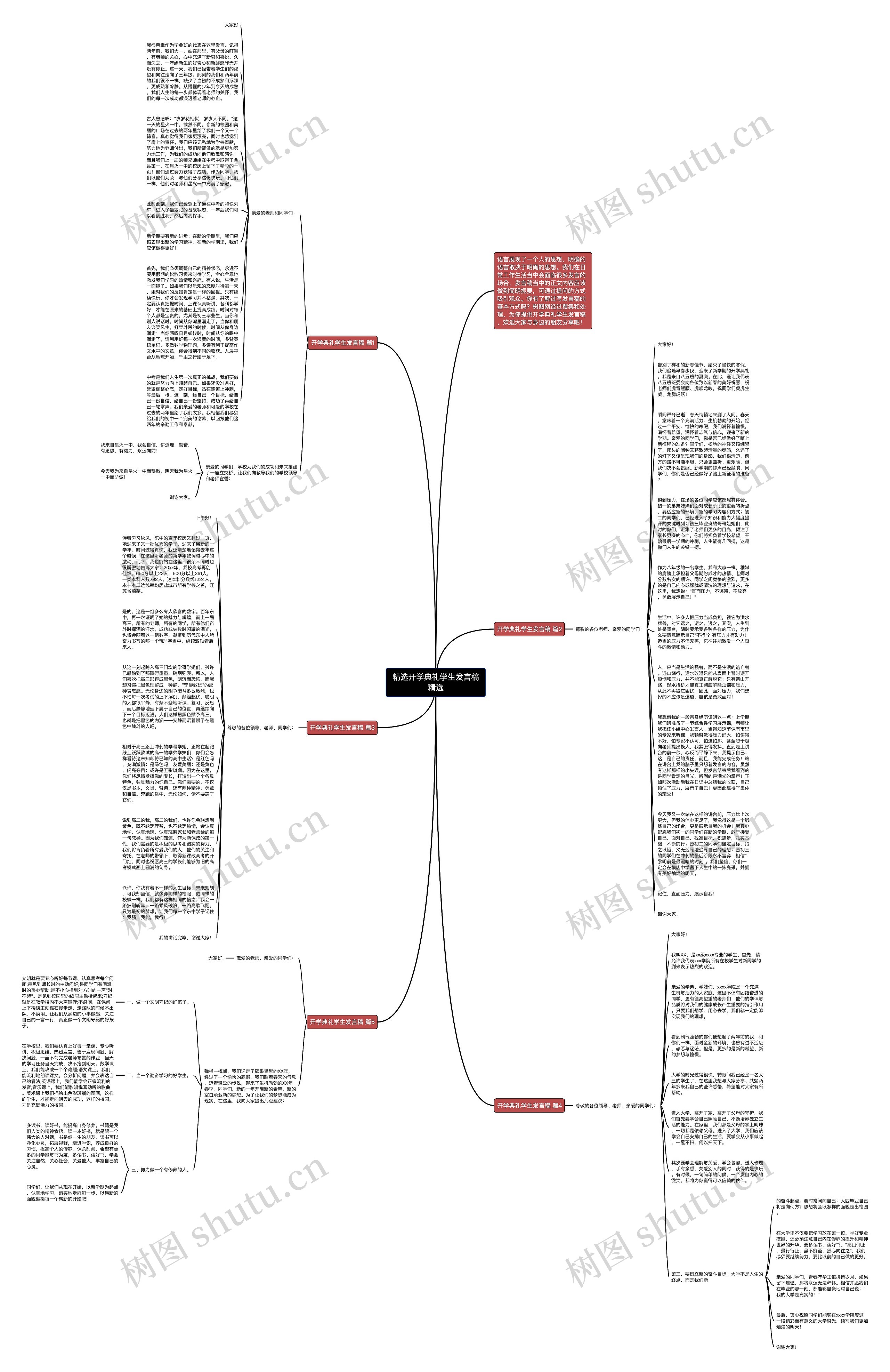 精选开学典礼学生发言稿精选思维导图