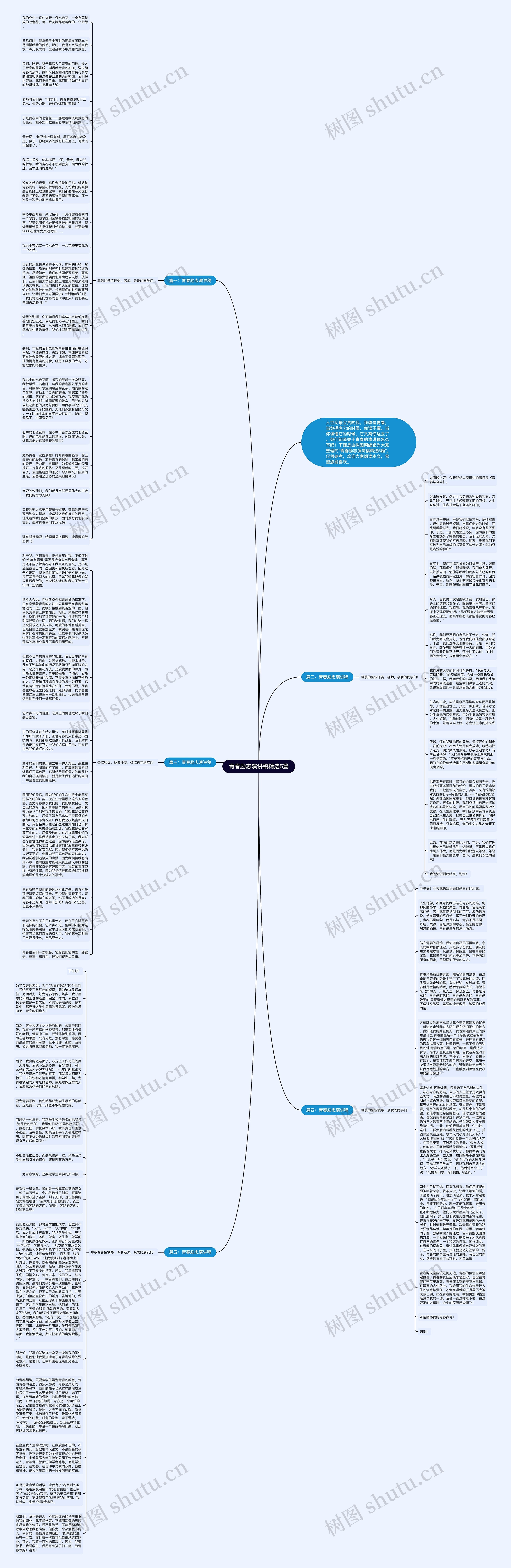 青春励志演讲稿精选5篇思维导图