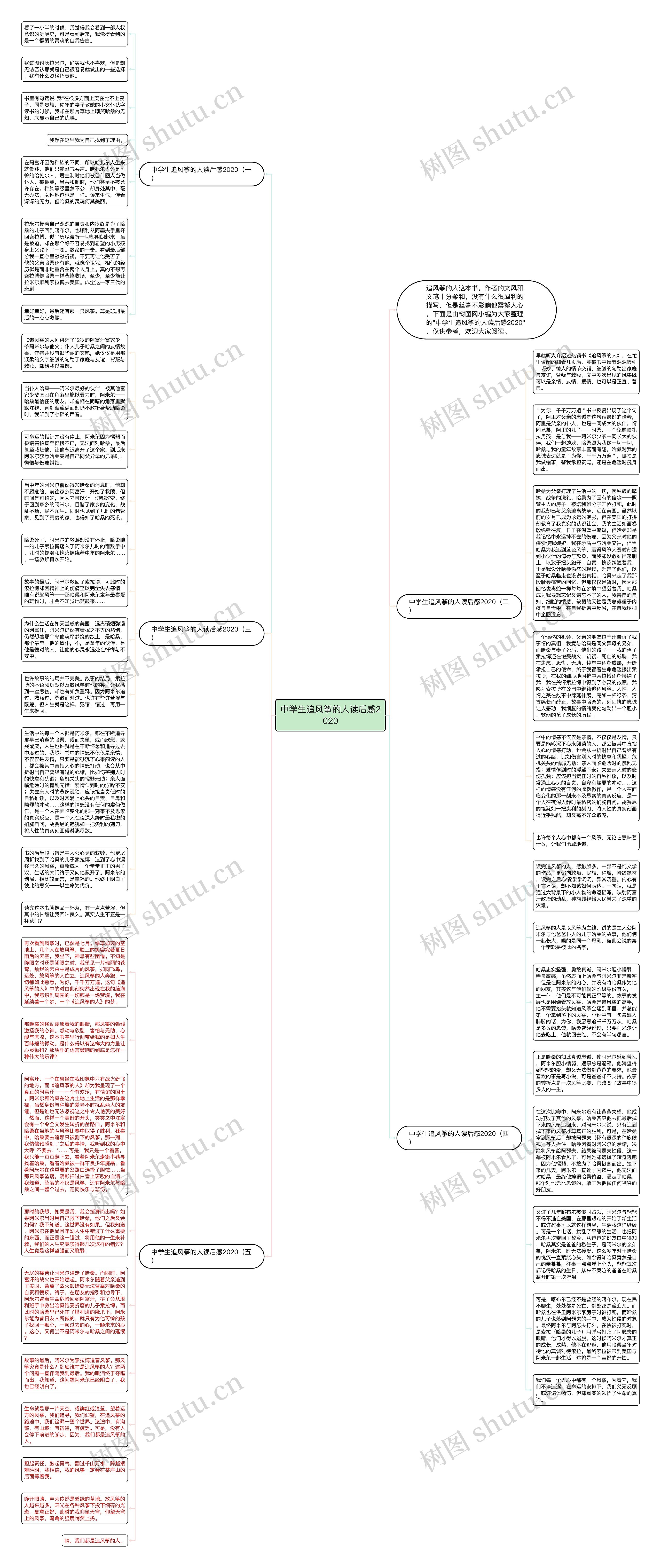 中学生追风筝的人读后感2020思维导图
