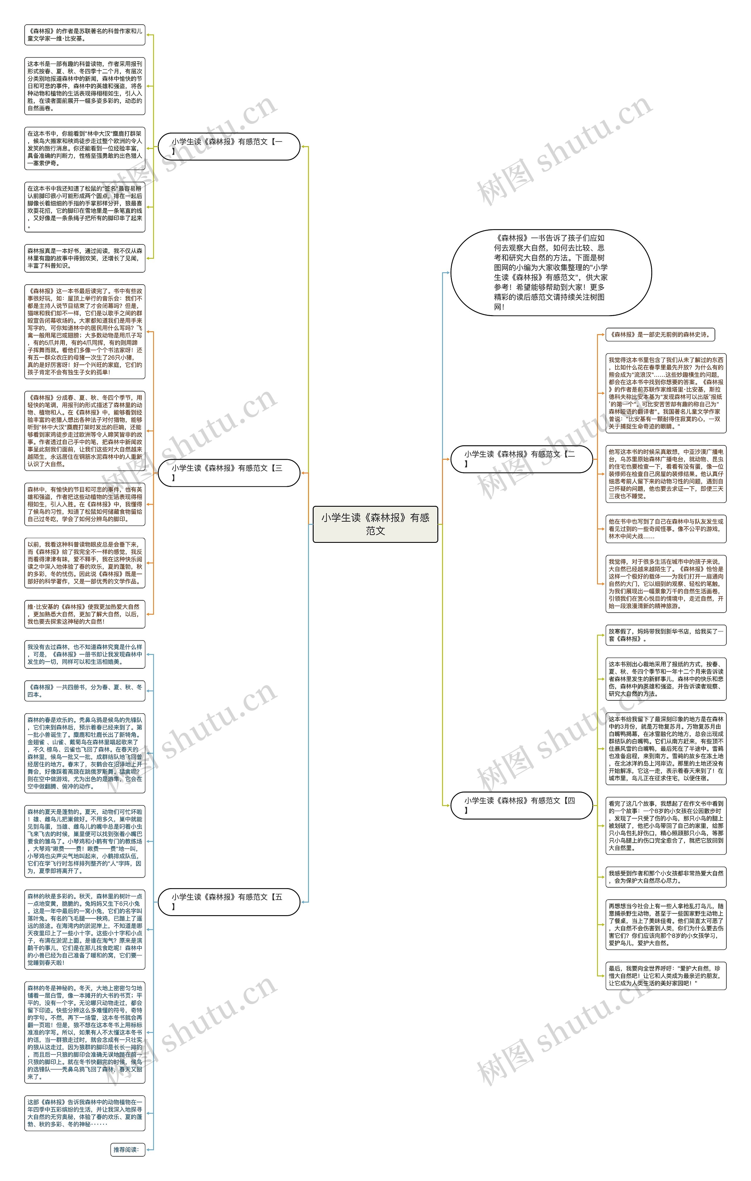 小学生读《森林报》有感范文思维导图