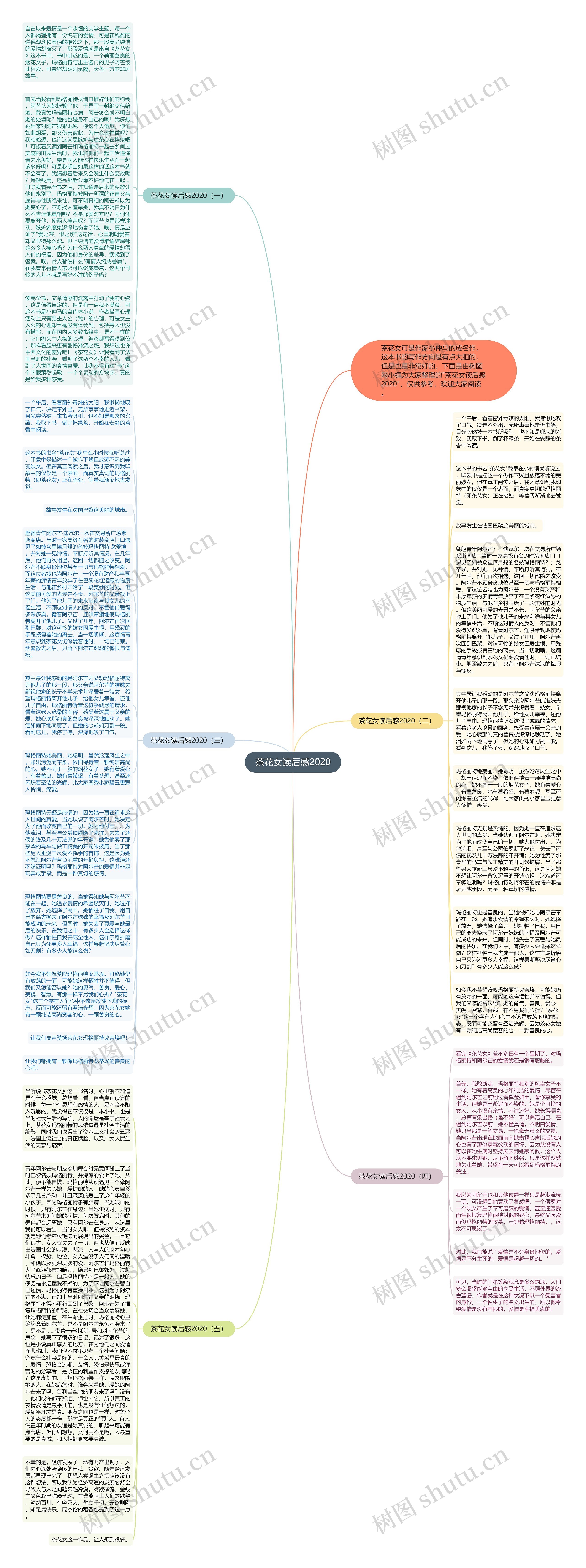 茶花女读后感2020思维导图