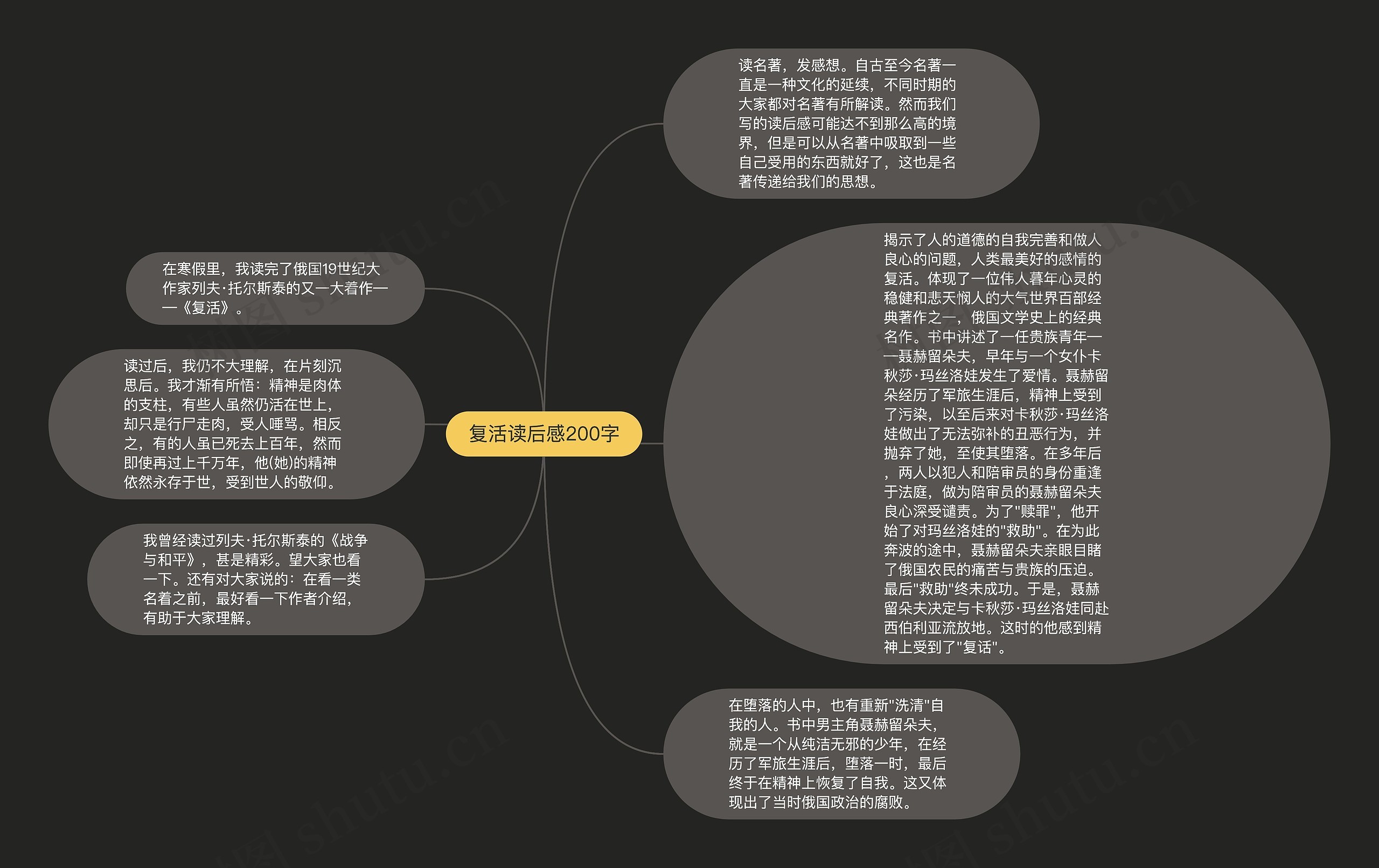 复活读后感200字