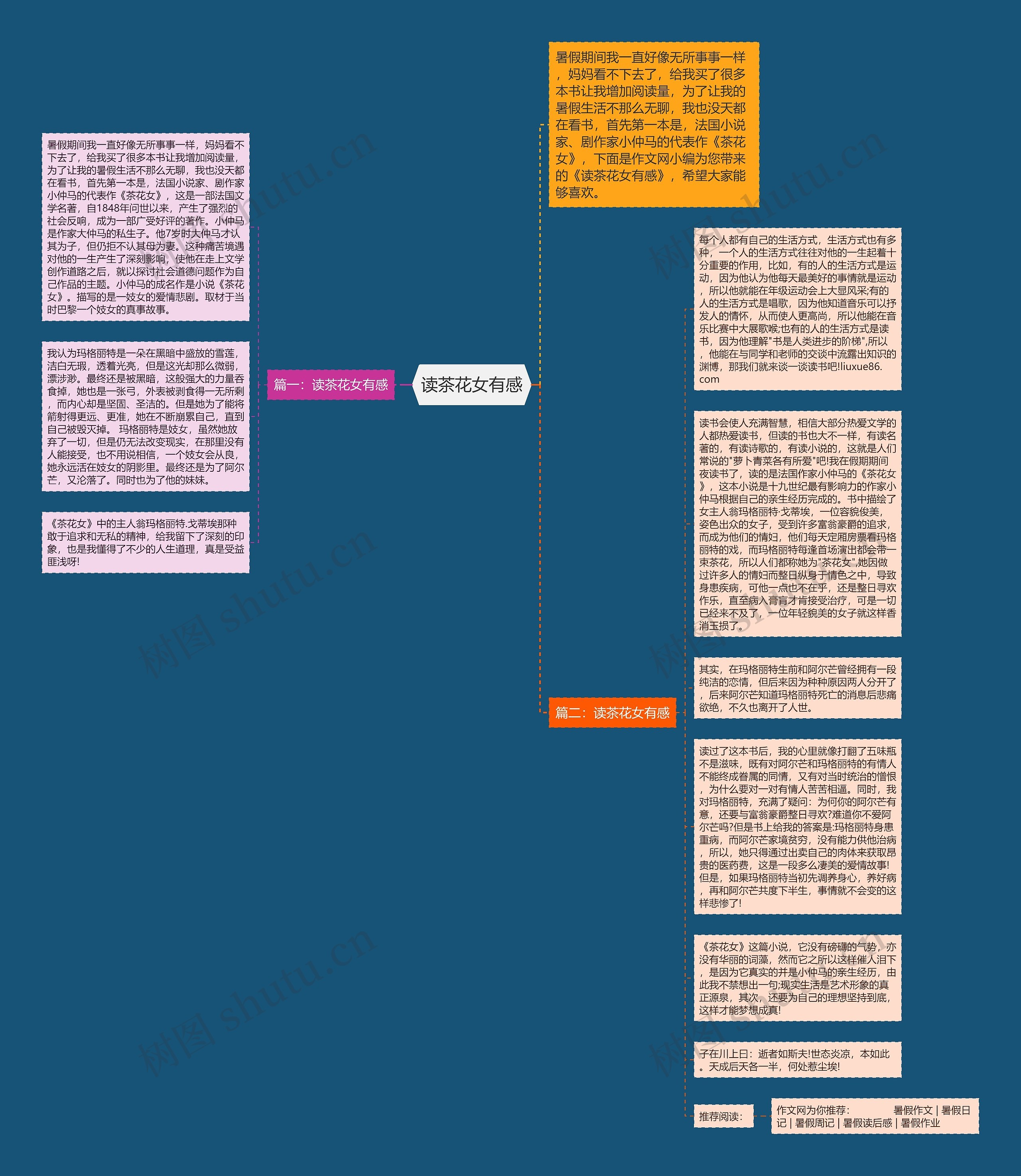 读茶花女有感思维导图