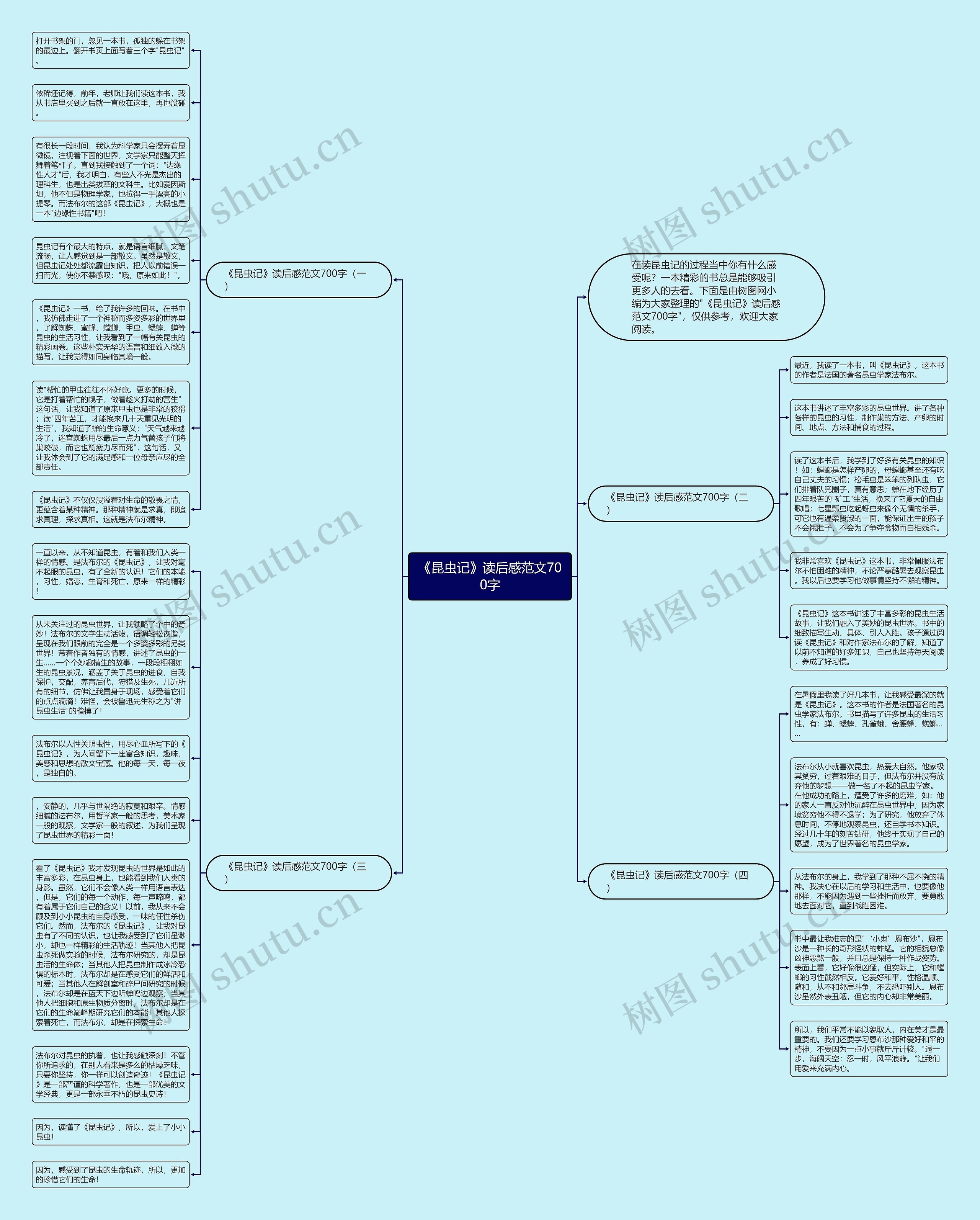 《昆虫记》读后感范文700字思维导图