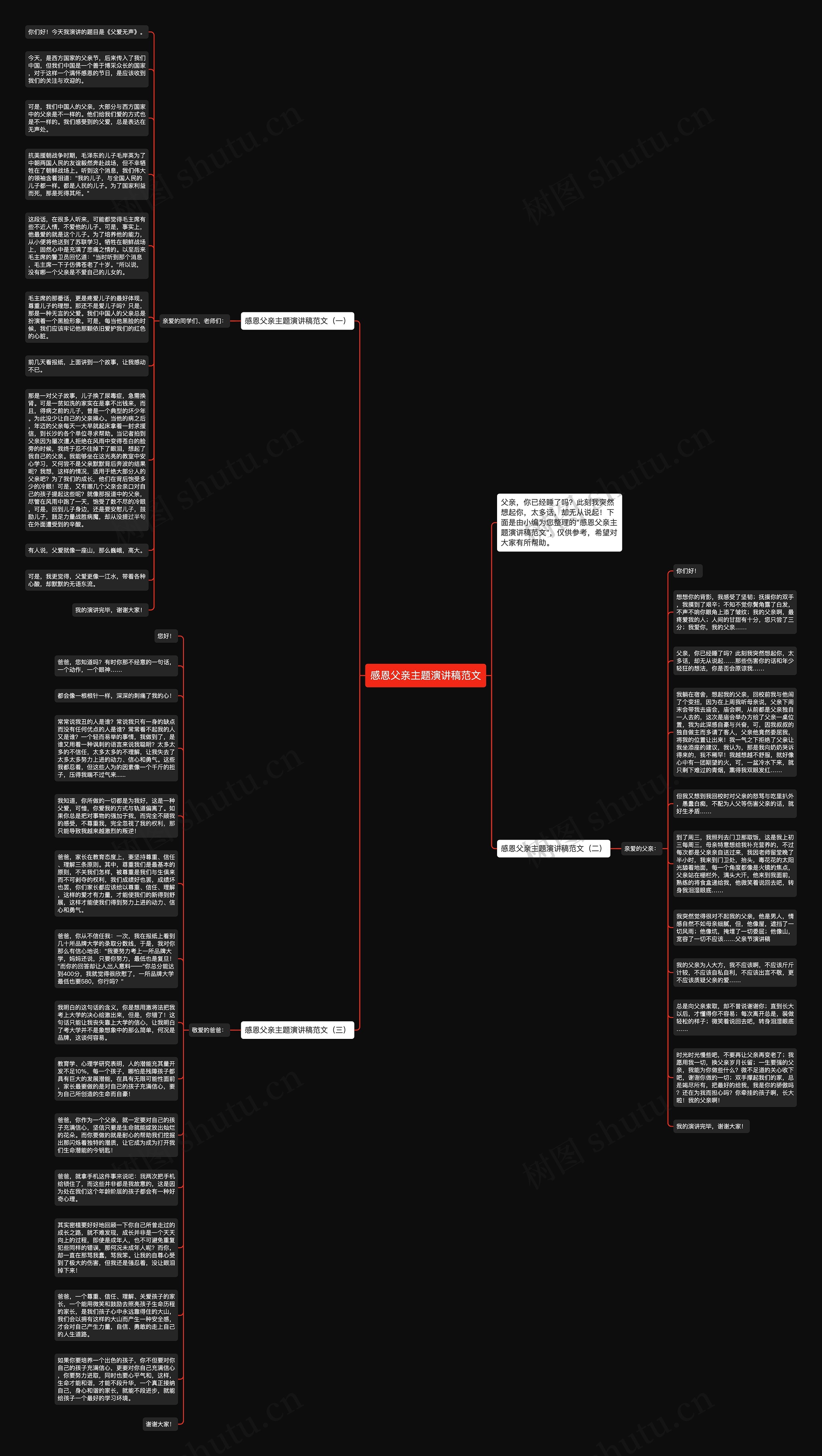 感恩父亲主题演讲稿范文思维导图