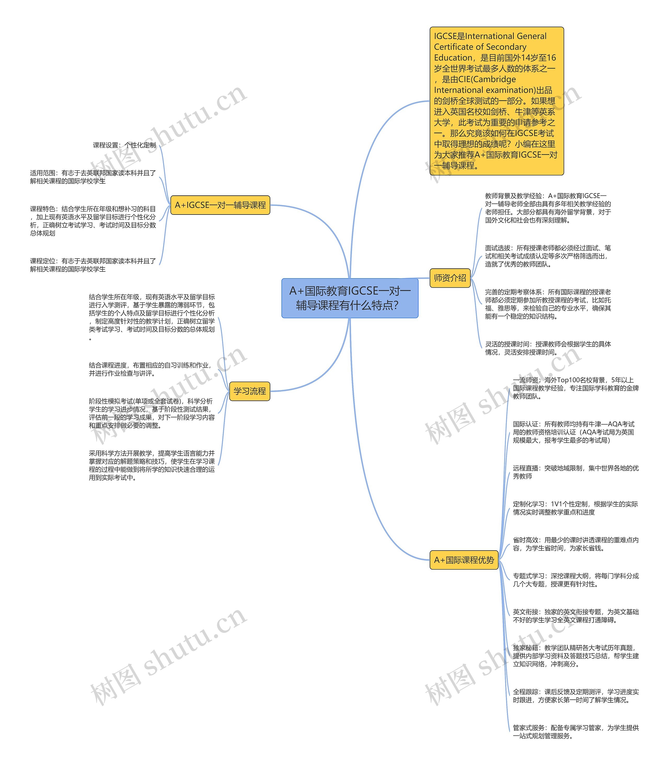 A+国际教育IGCSE一对一辅导课程有什么特点？思维导图