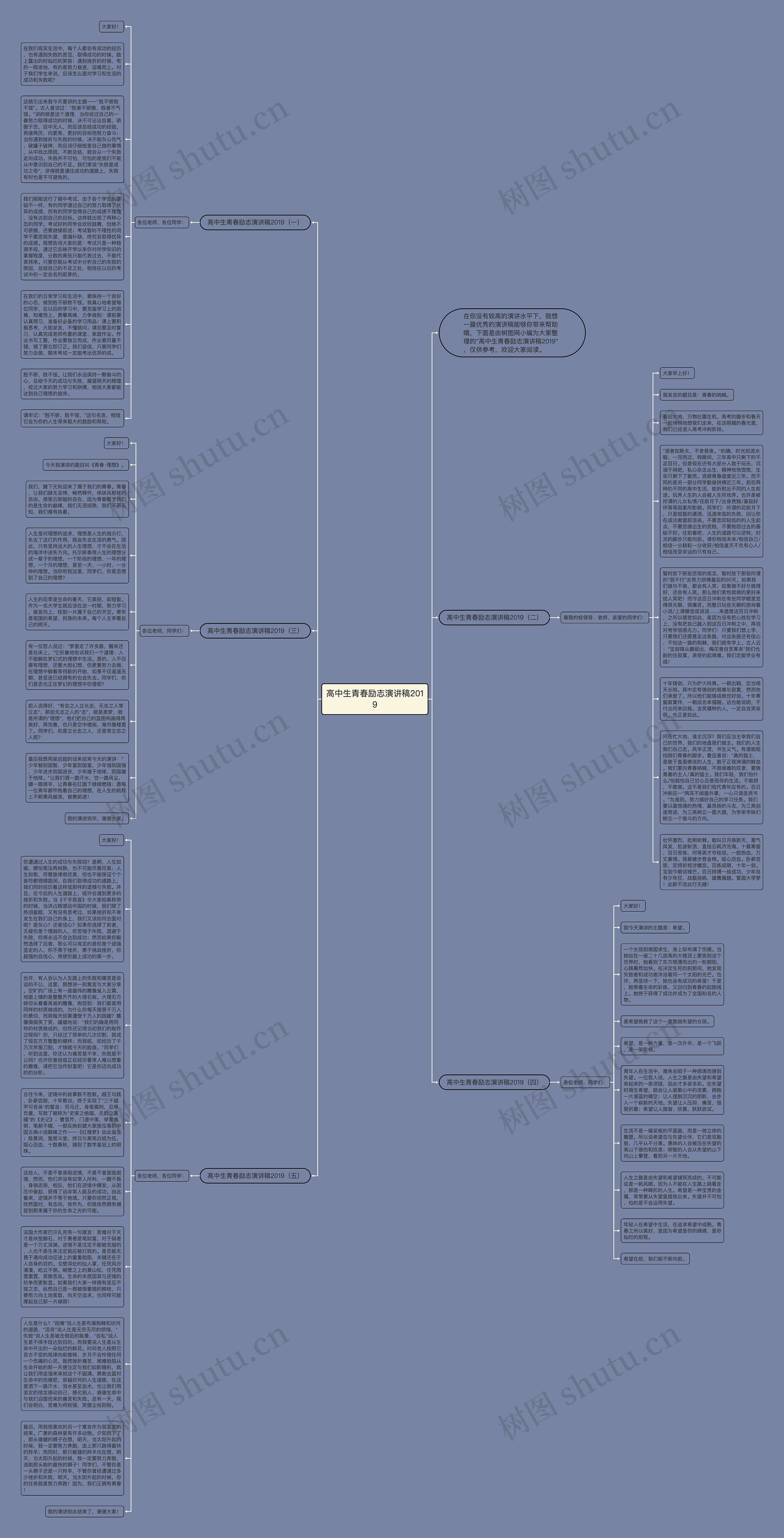 高中生青春励志演讲稿2019思维导图