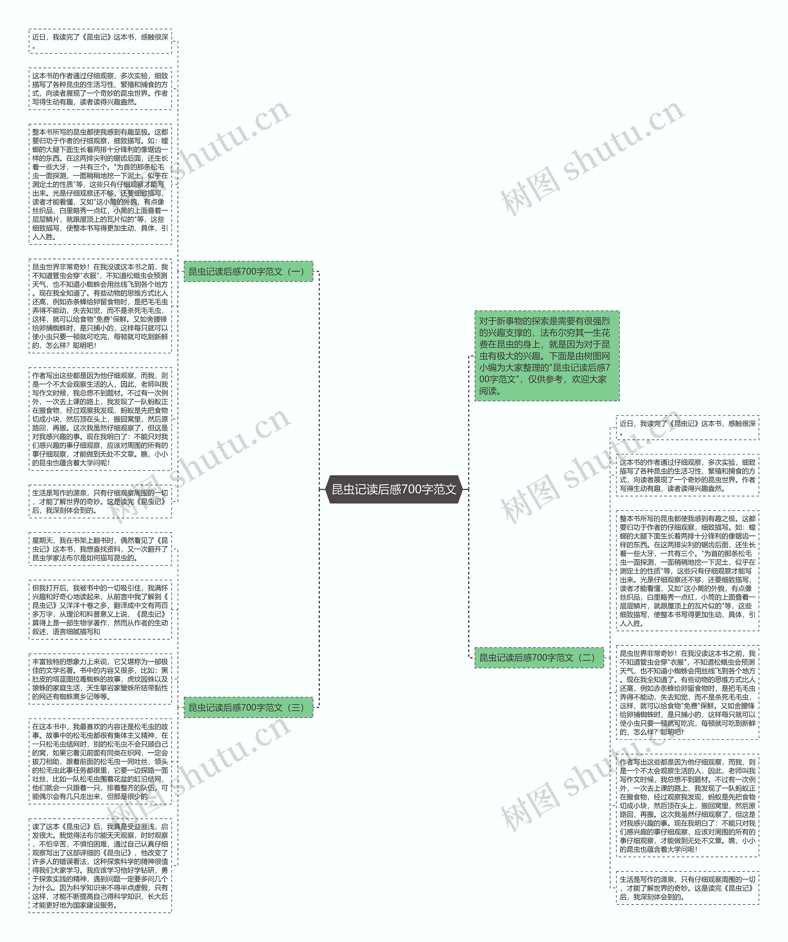 昆虫记读后感700字范文思维导图