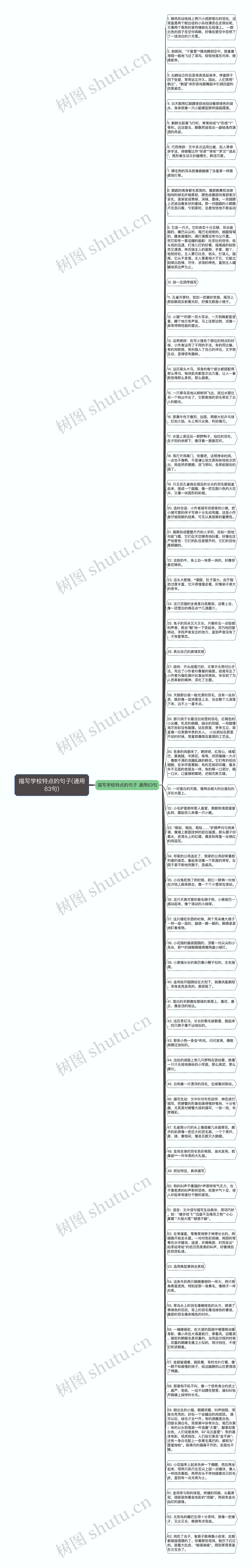 描写学校特点的句子(通用63句)