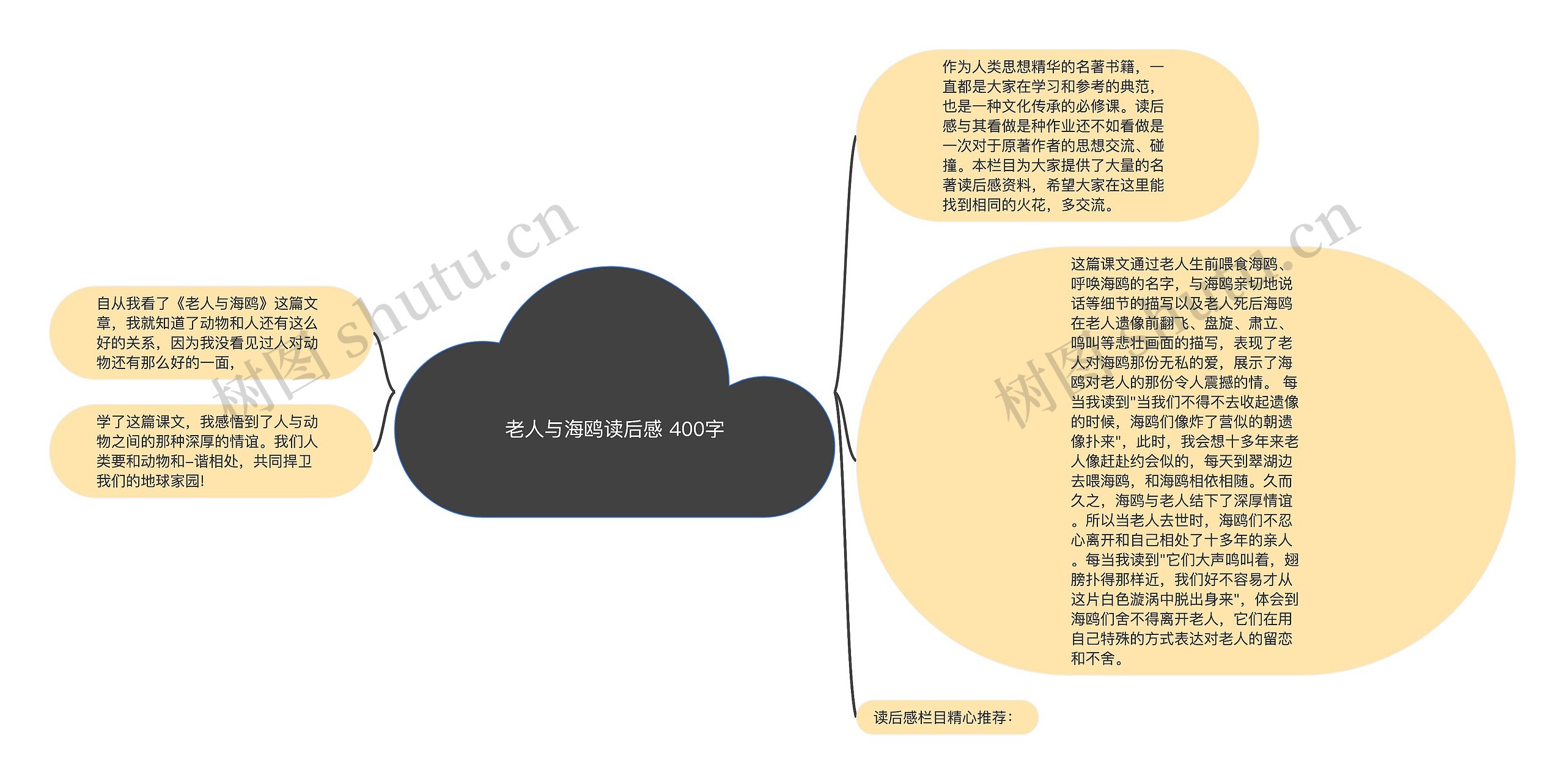 老人与海鸥读后感 400字