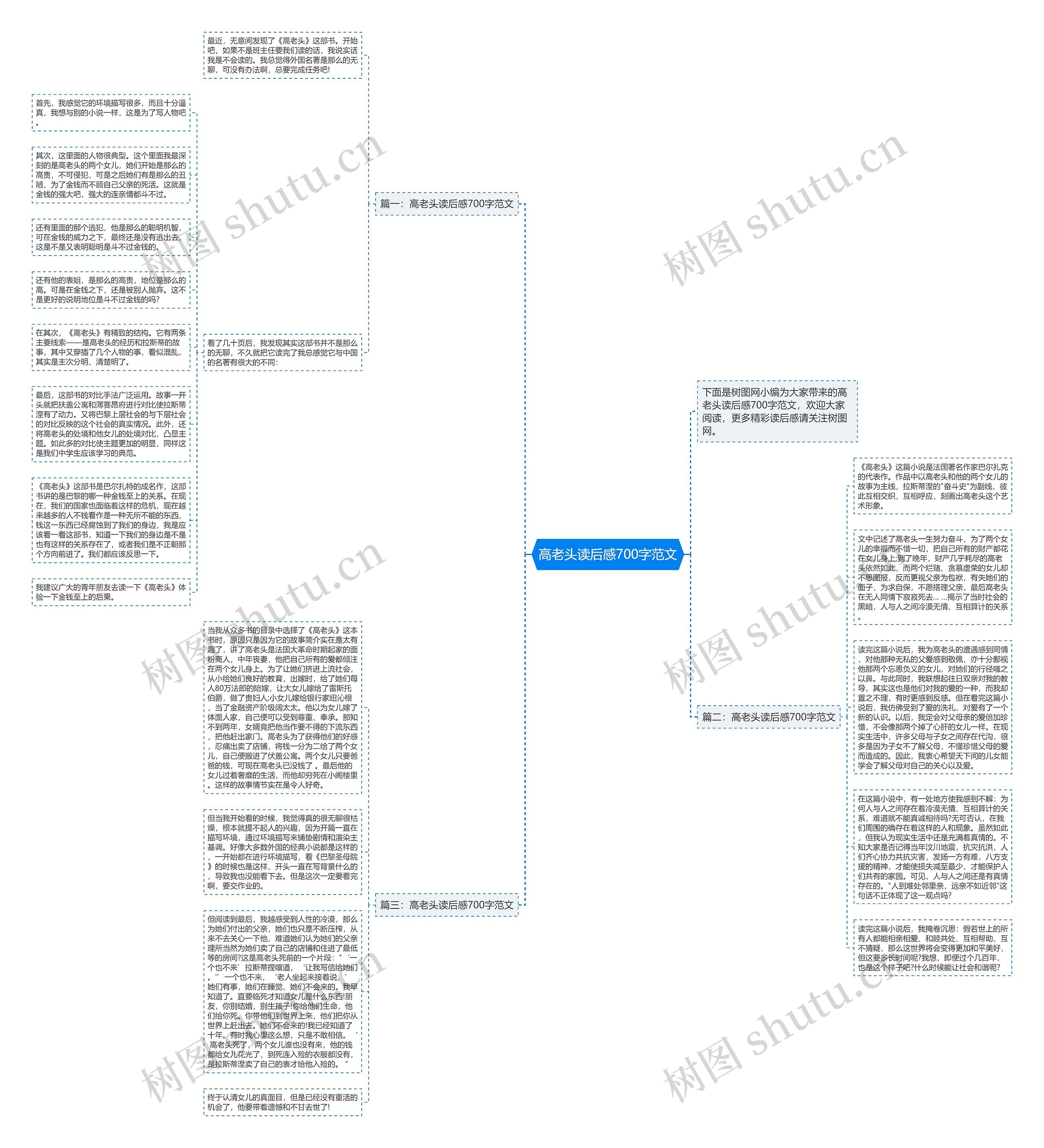 高老头读后感700字范文思维导图