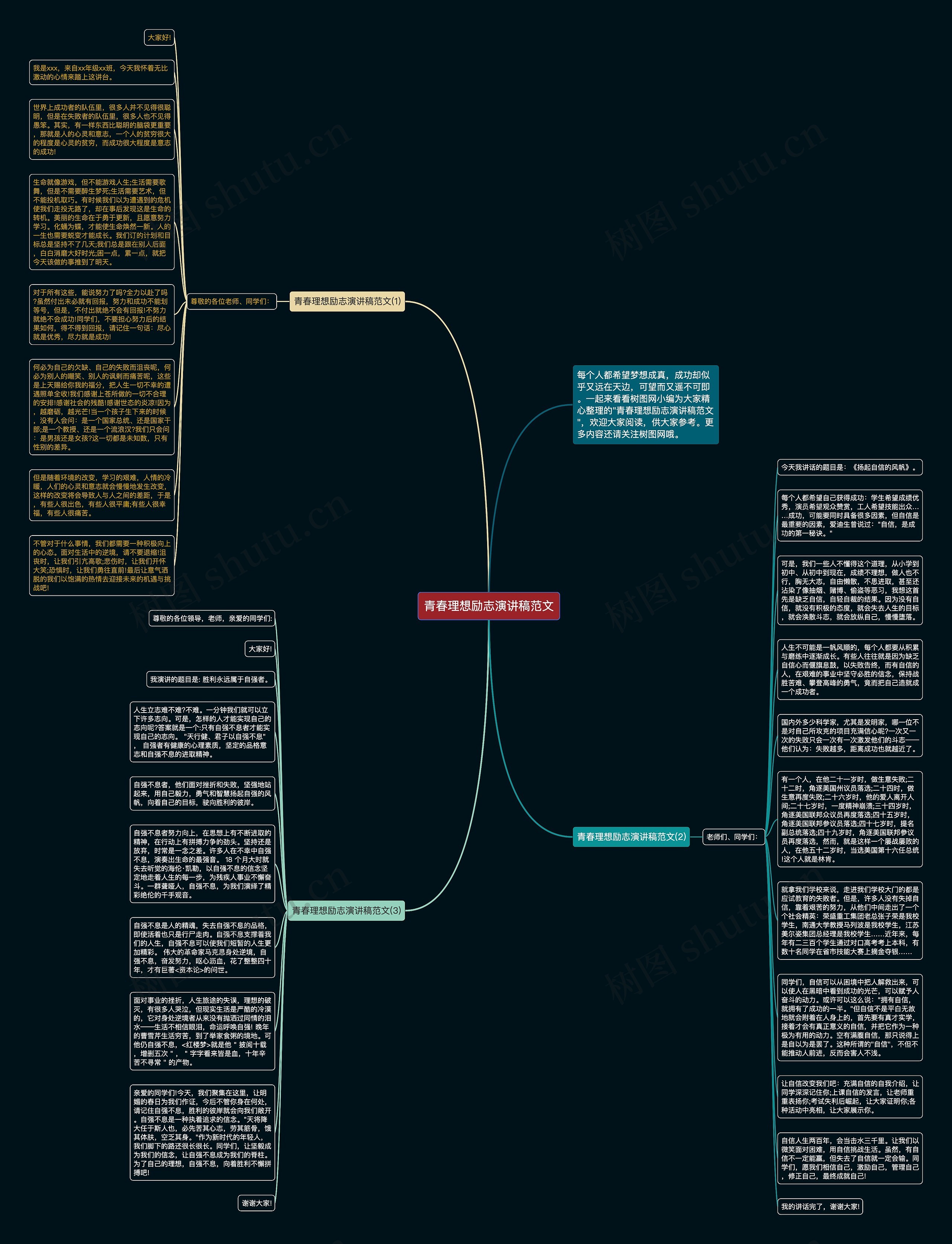 青春理想励志演讲稿范文思维导图
