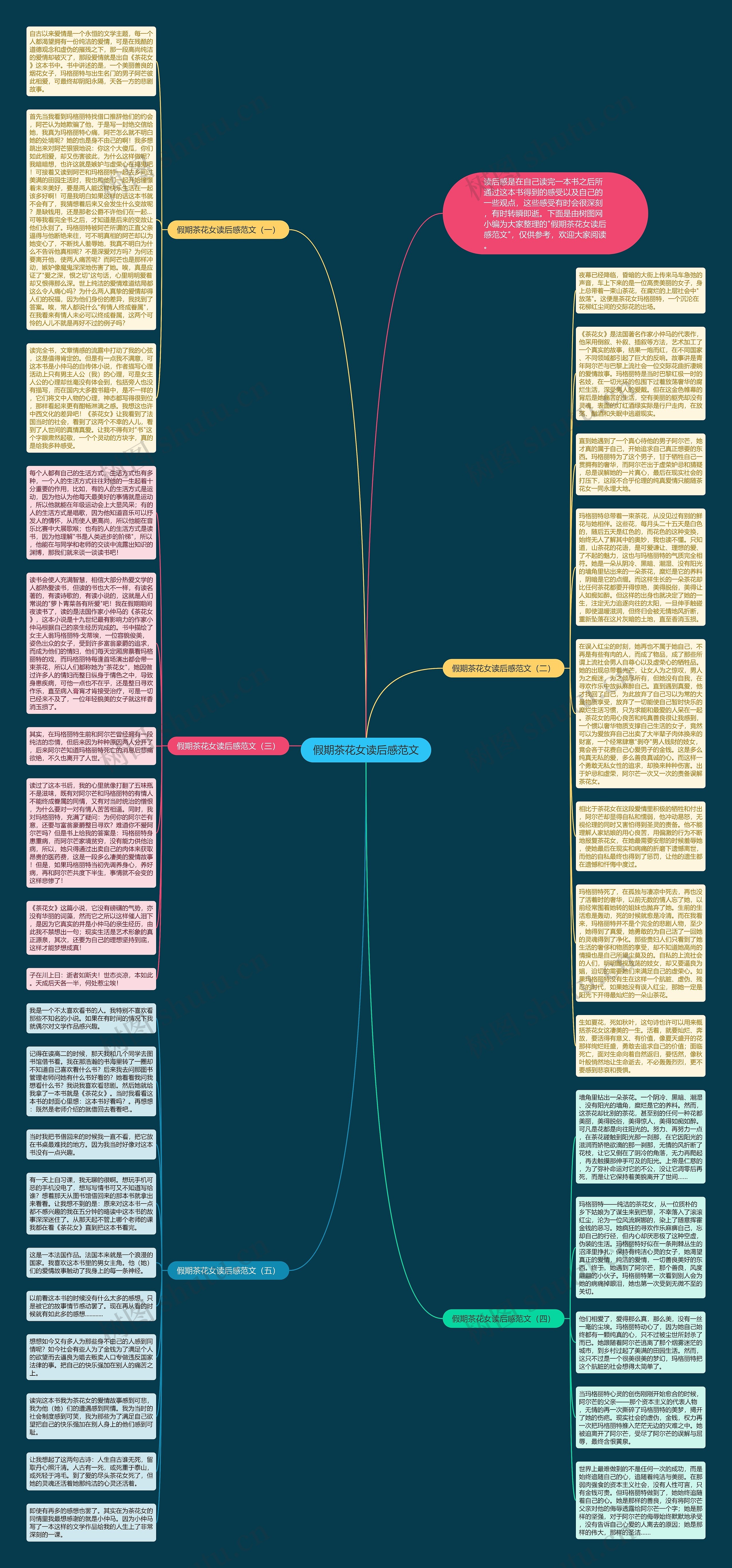 假期茶花女读后感范文思维导图