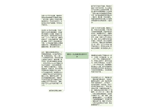 最后一头战象读后感800字