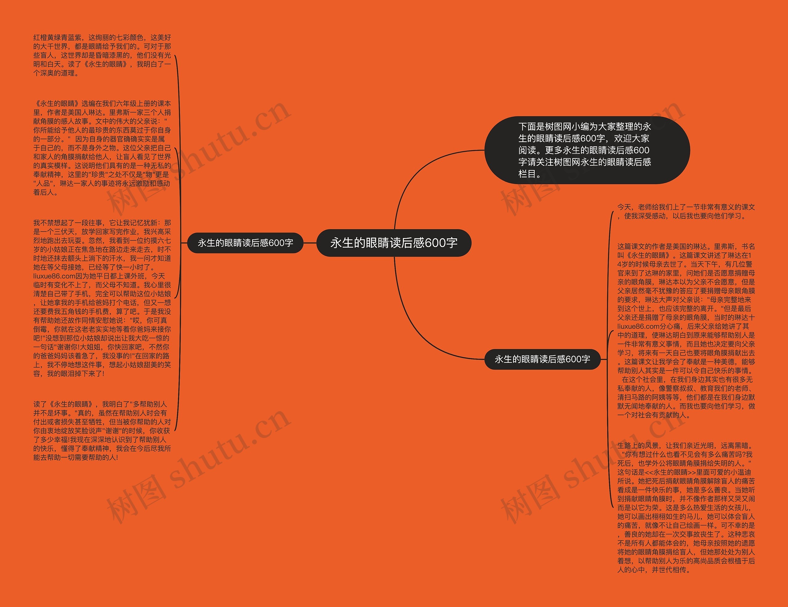 永生的眼睛读后感600字