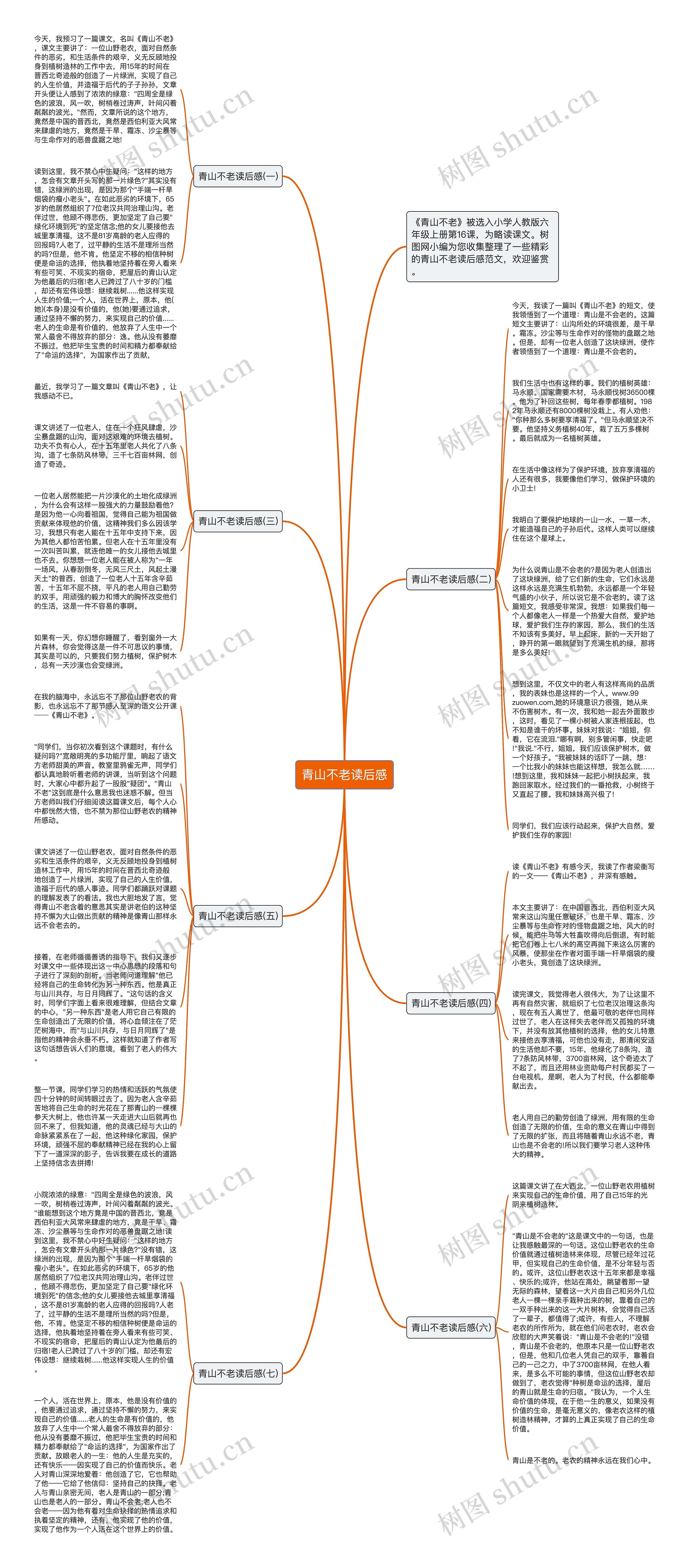 青山不老读后感思维导图