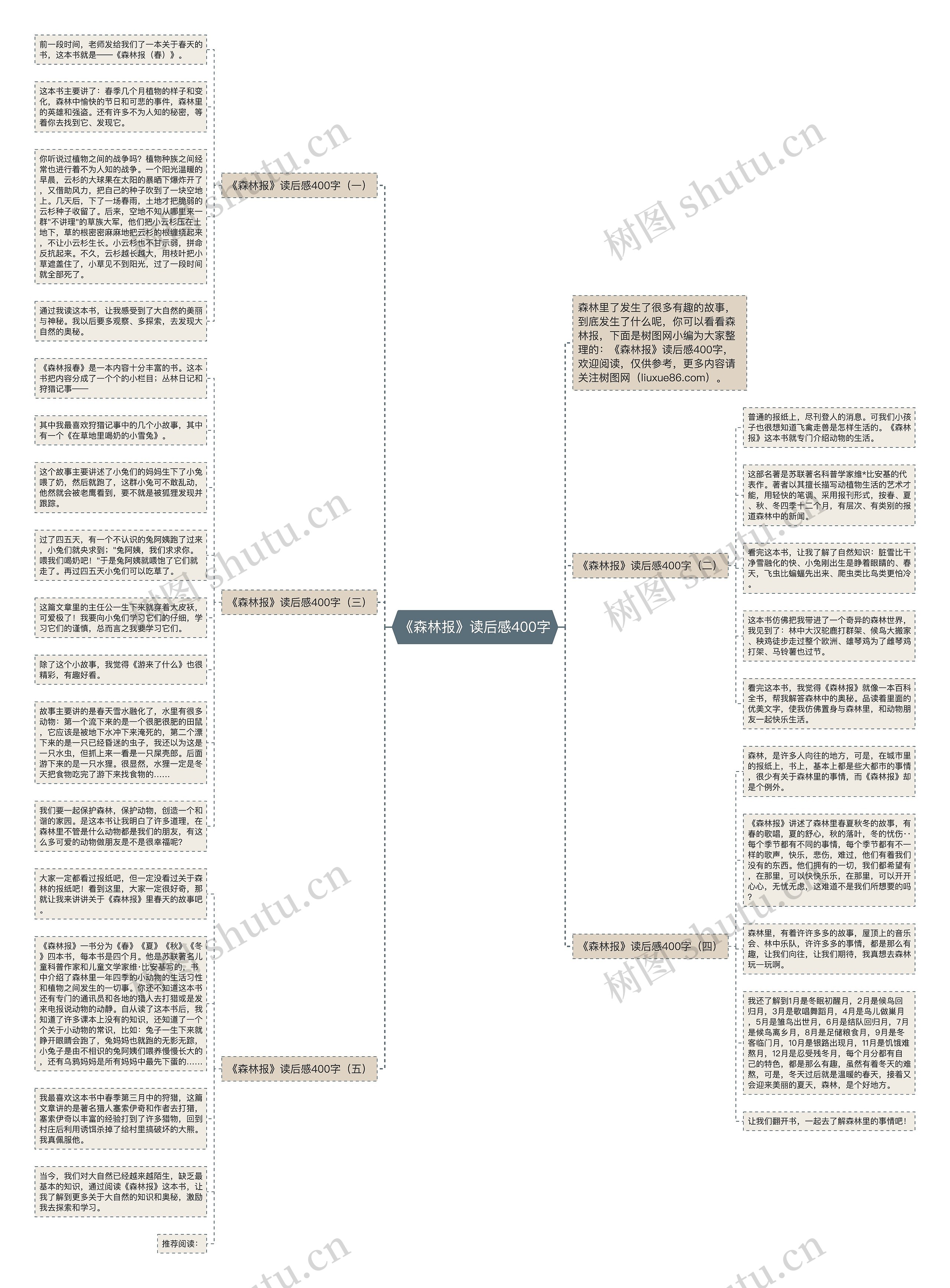 《森林报》读后感400字思维导图