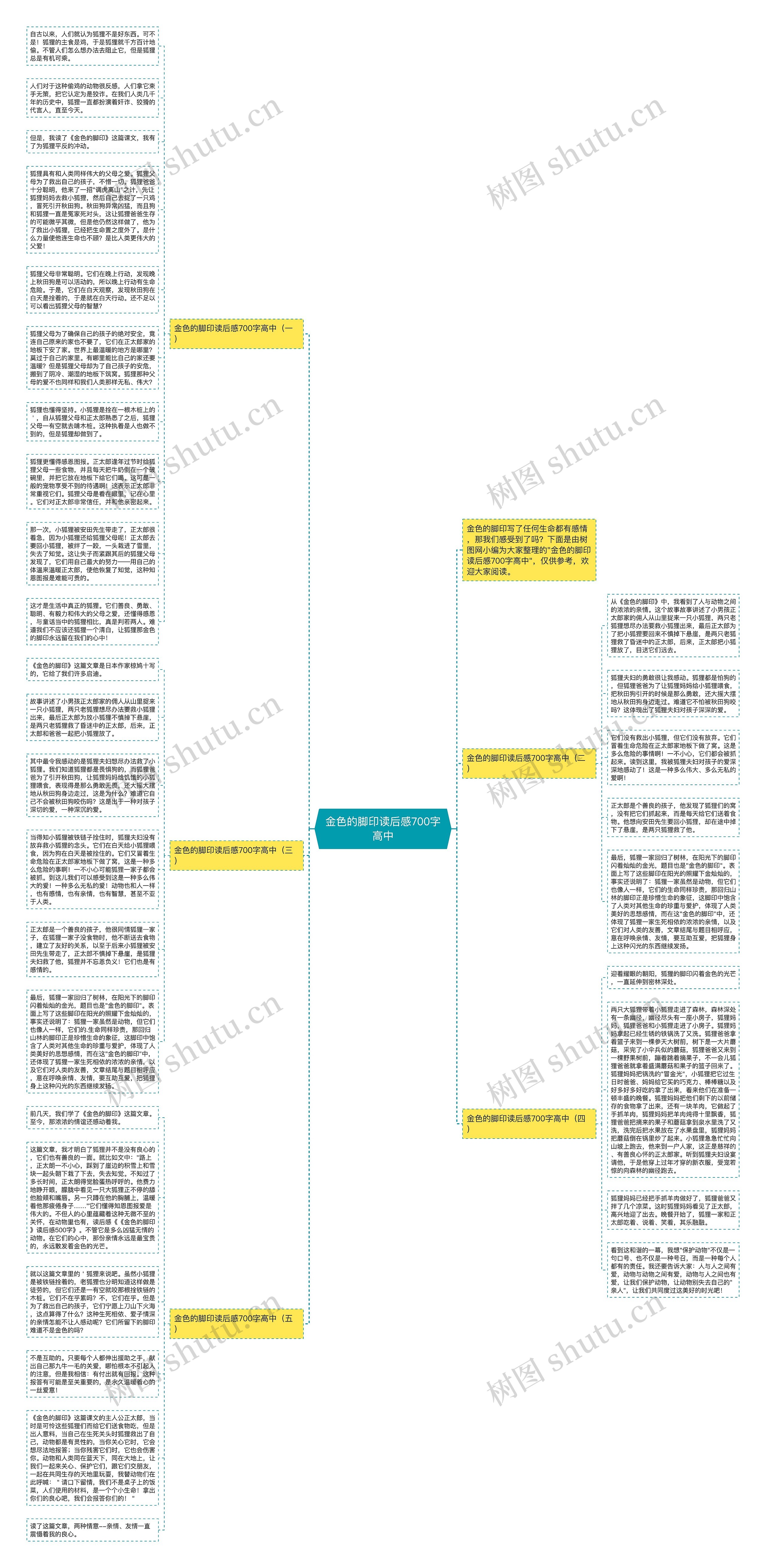 金色的脚印读后感700字高中思维导图