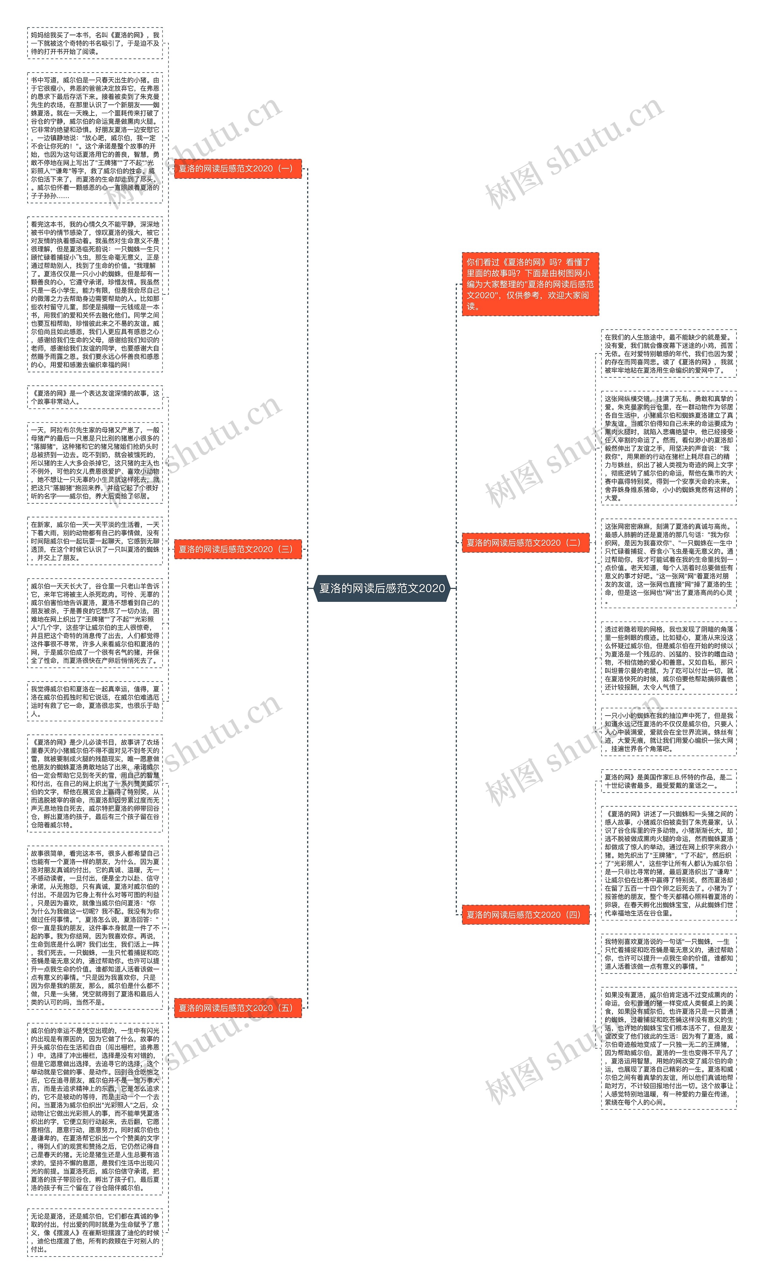 夏洛的网读后感范文2020思维导图