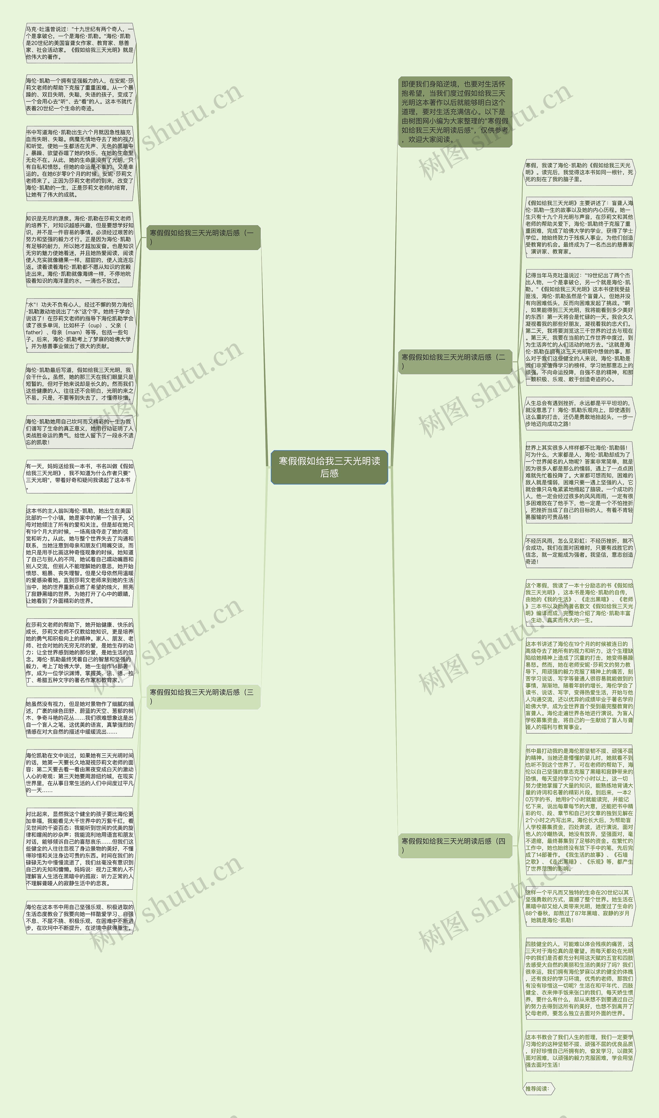 寒假假如给我三天光明读后感思维导图