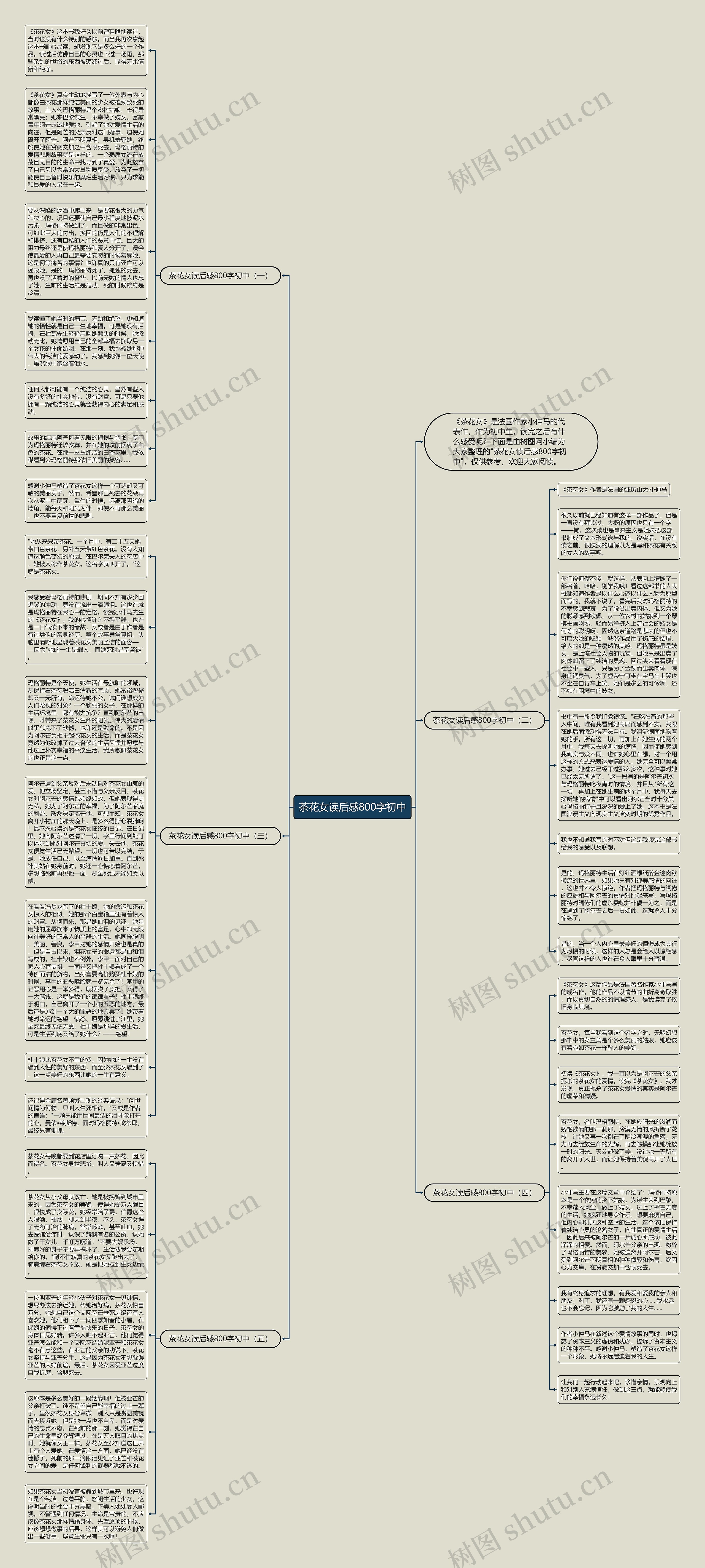 茶花女读后感800字初中思维导图