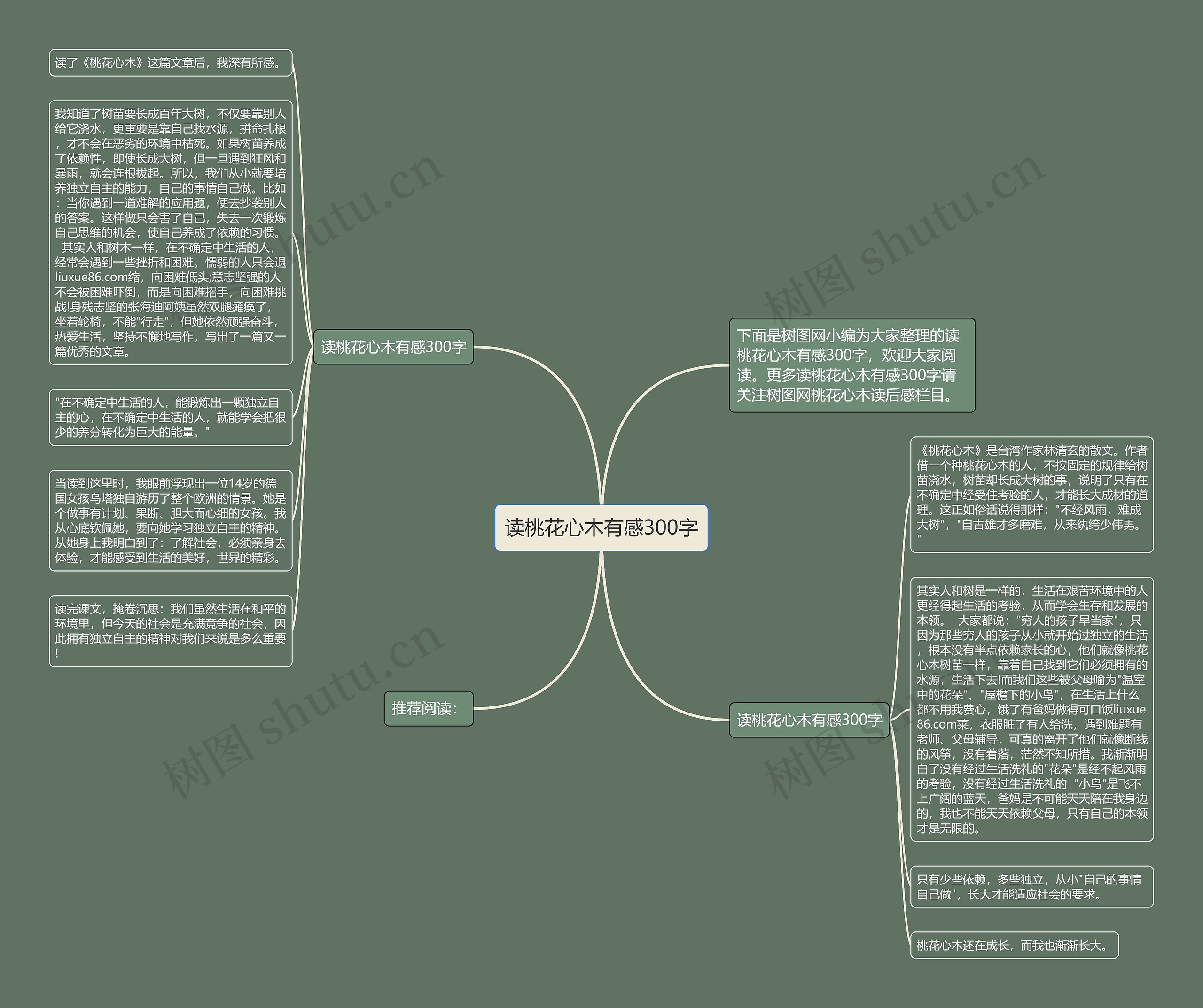 读桃花心木有感300字思维导图