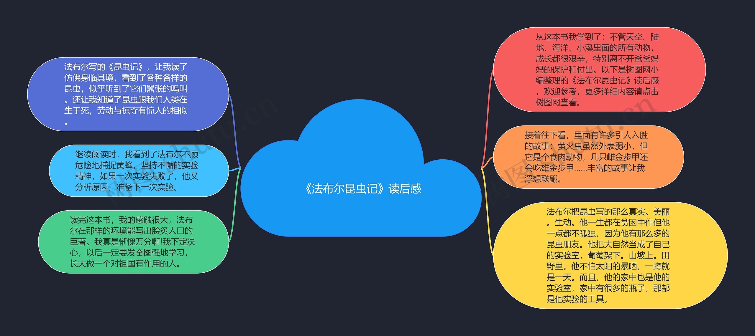 《法布尔昆虫记》读后感