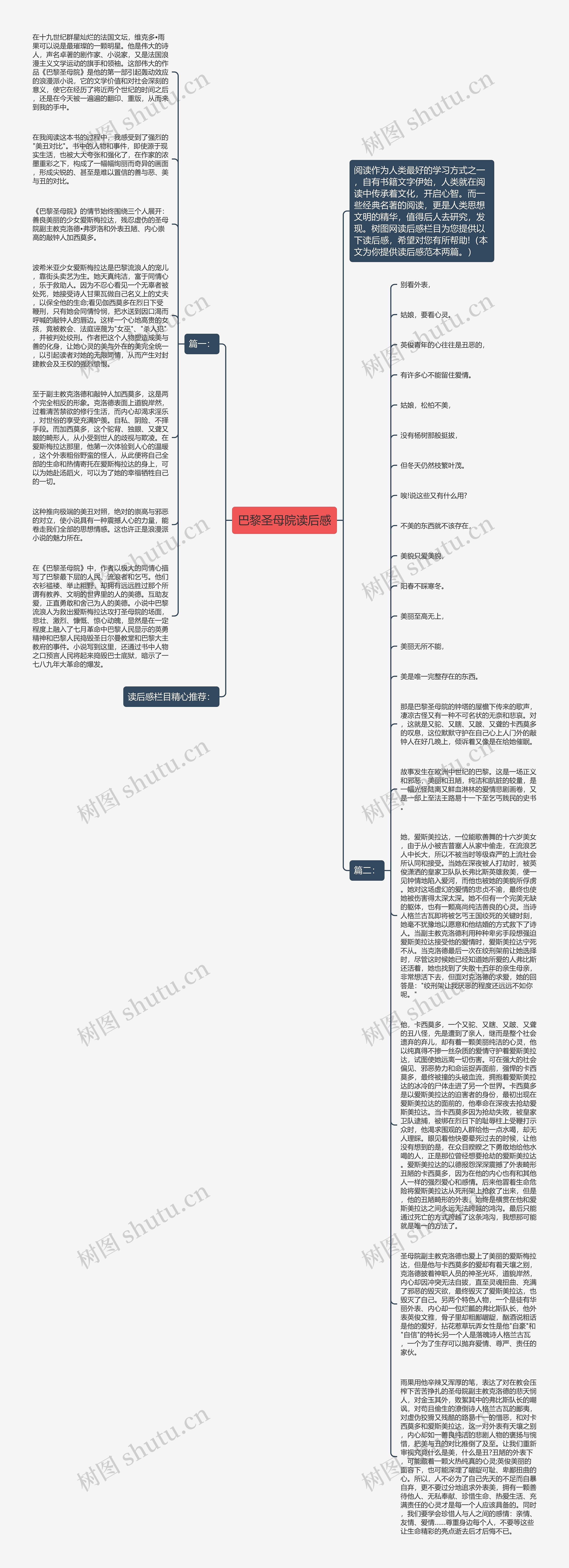 巴黎圣母院读后感