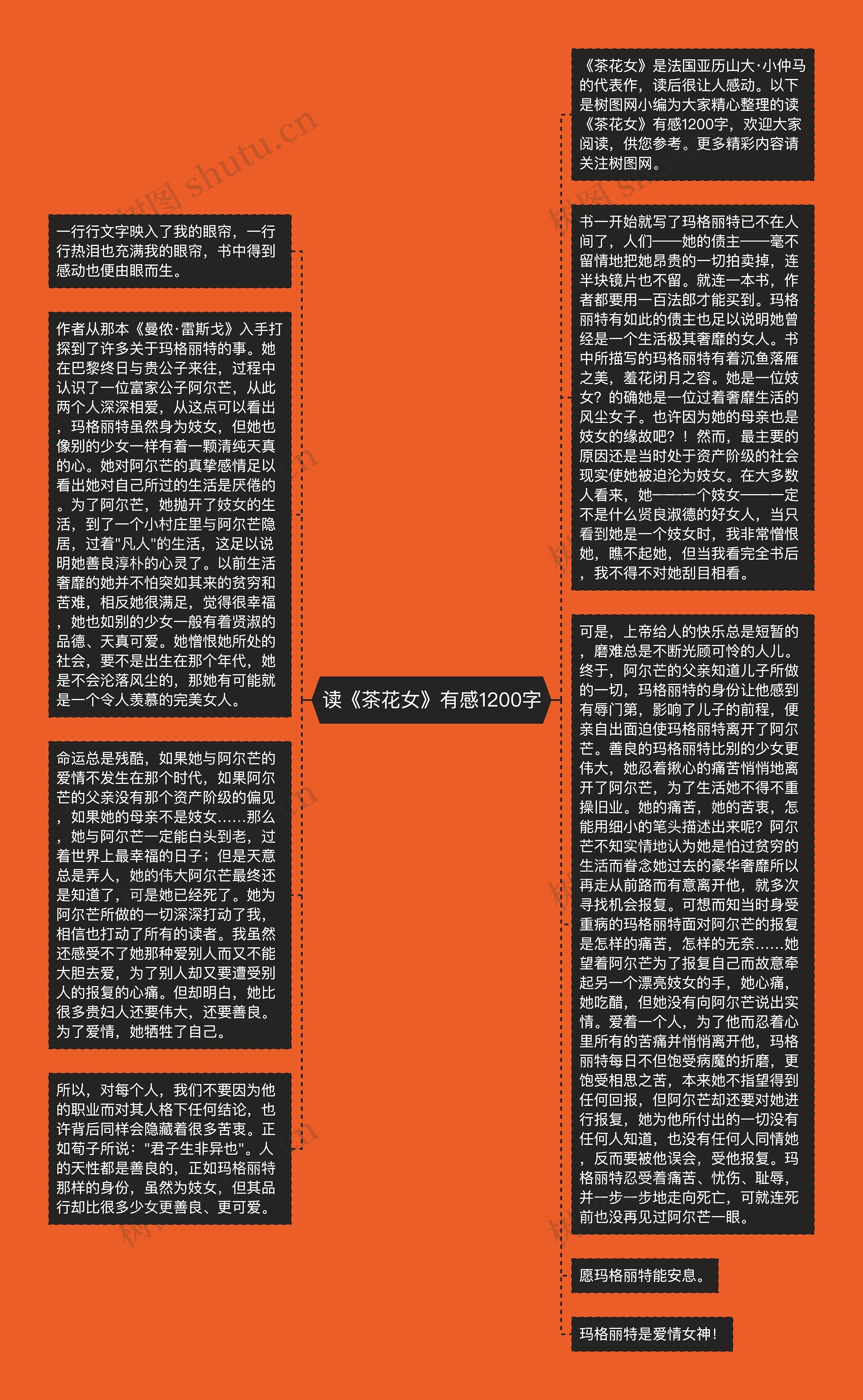读《茶花女》有感1200字