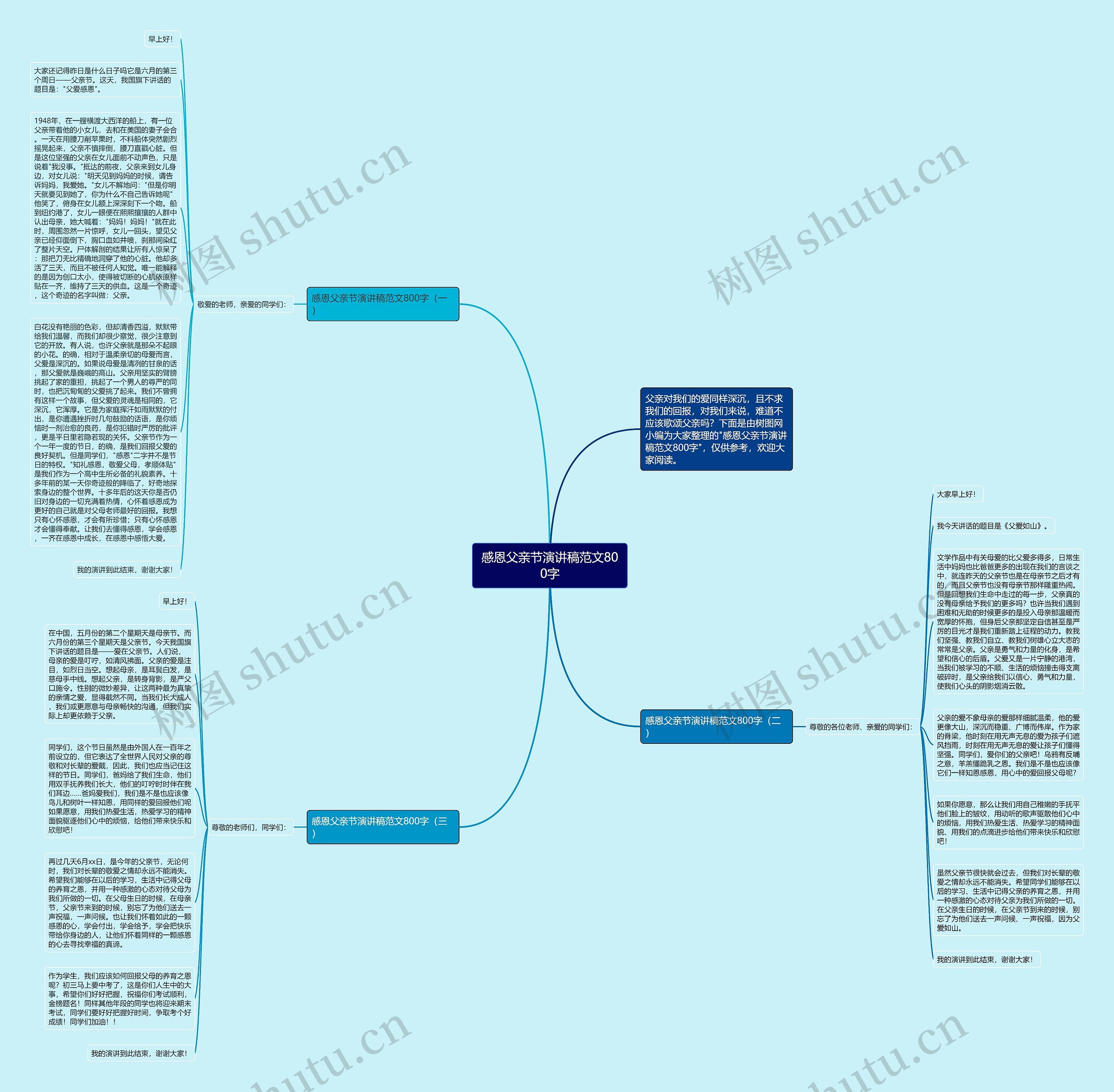 感恩父亲节演讲稿范文800字思维导图