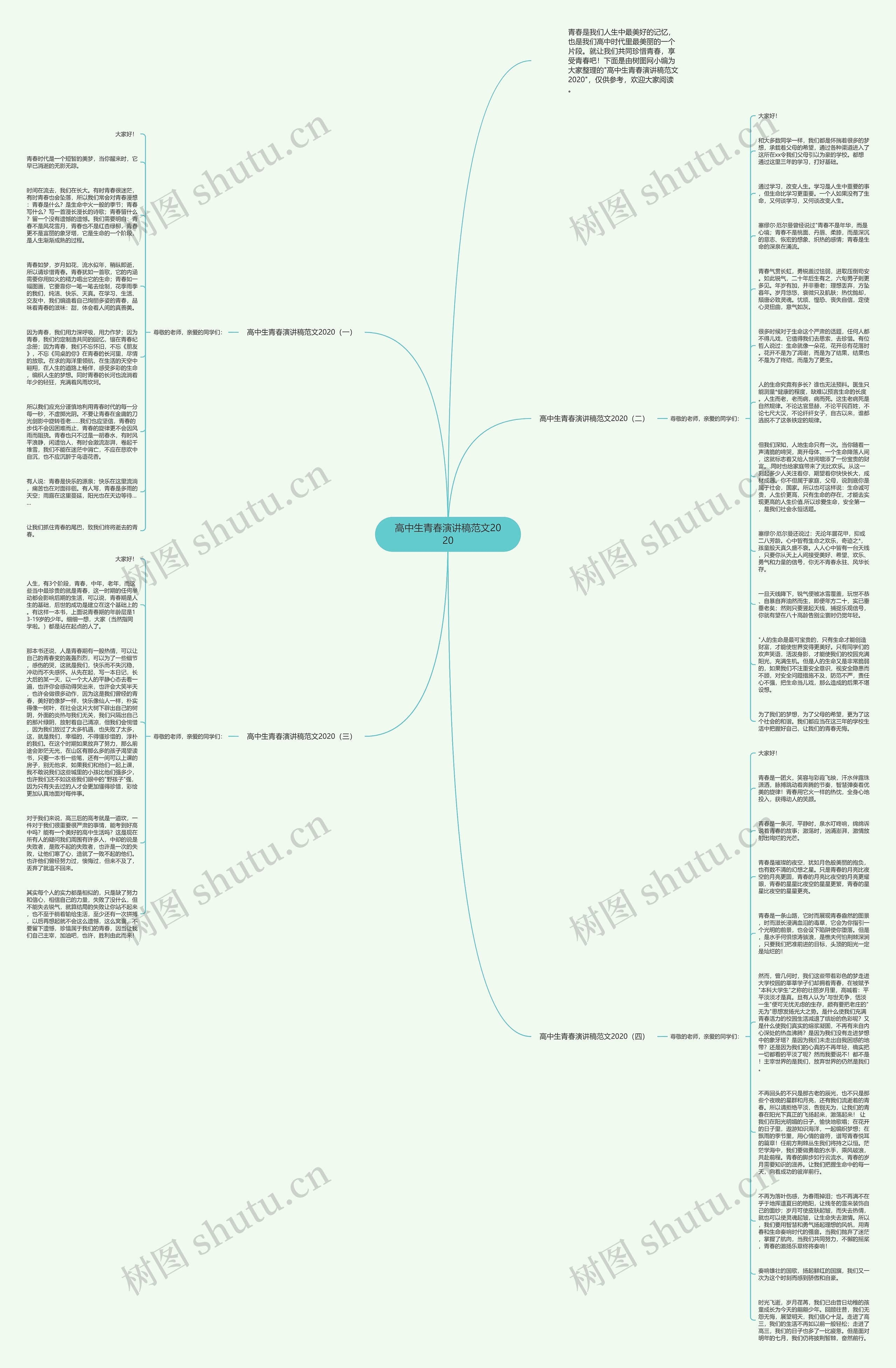 高中生青春演讲稿范文2020思维导图
