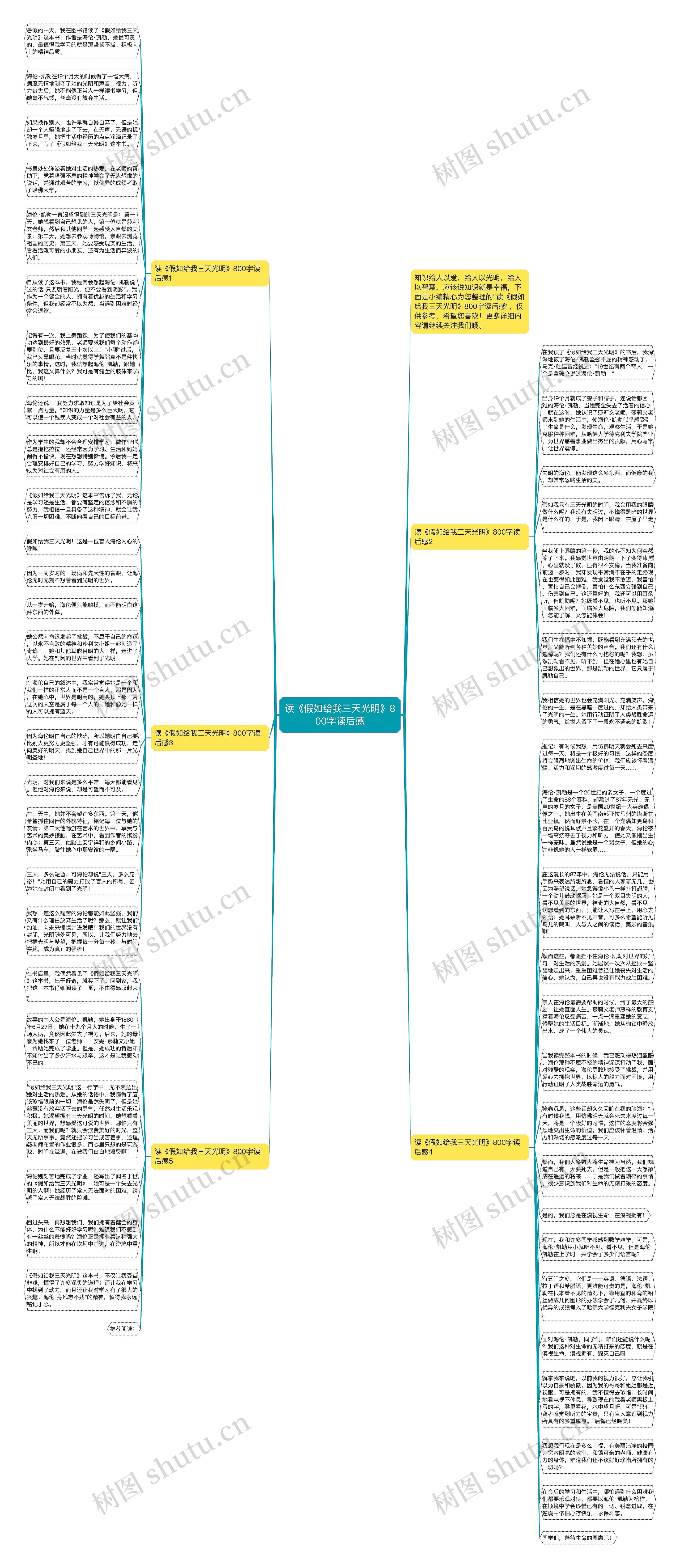 读《假如给我三天光明》800字读后感思维导图