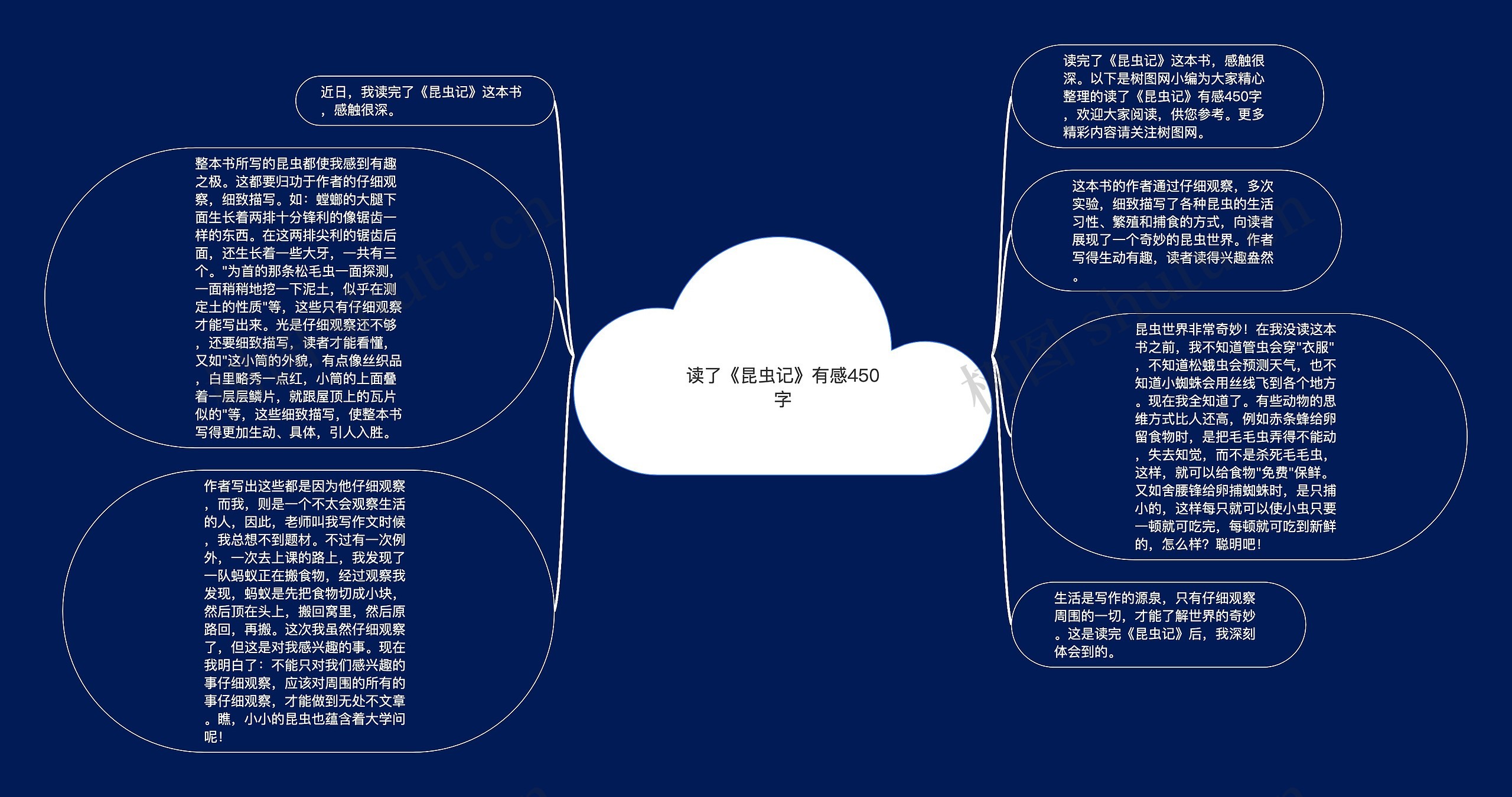 读了《昆虫记》有感450字思维导图