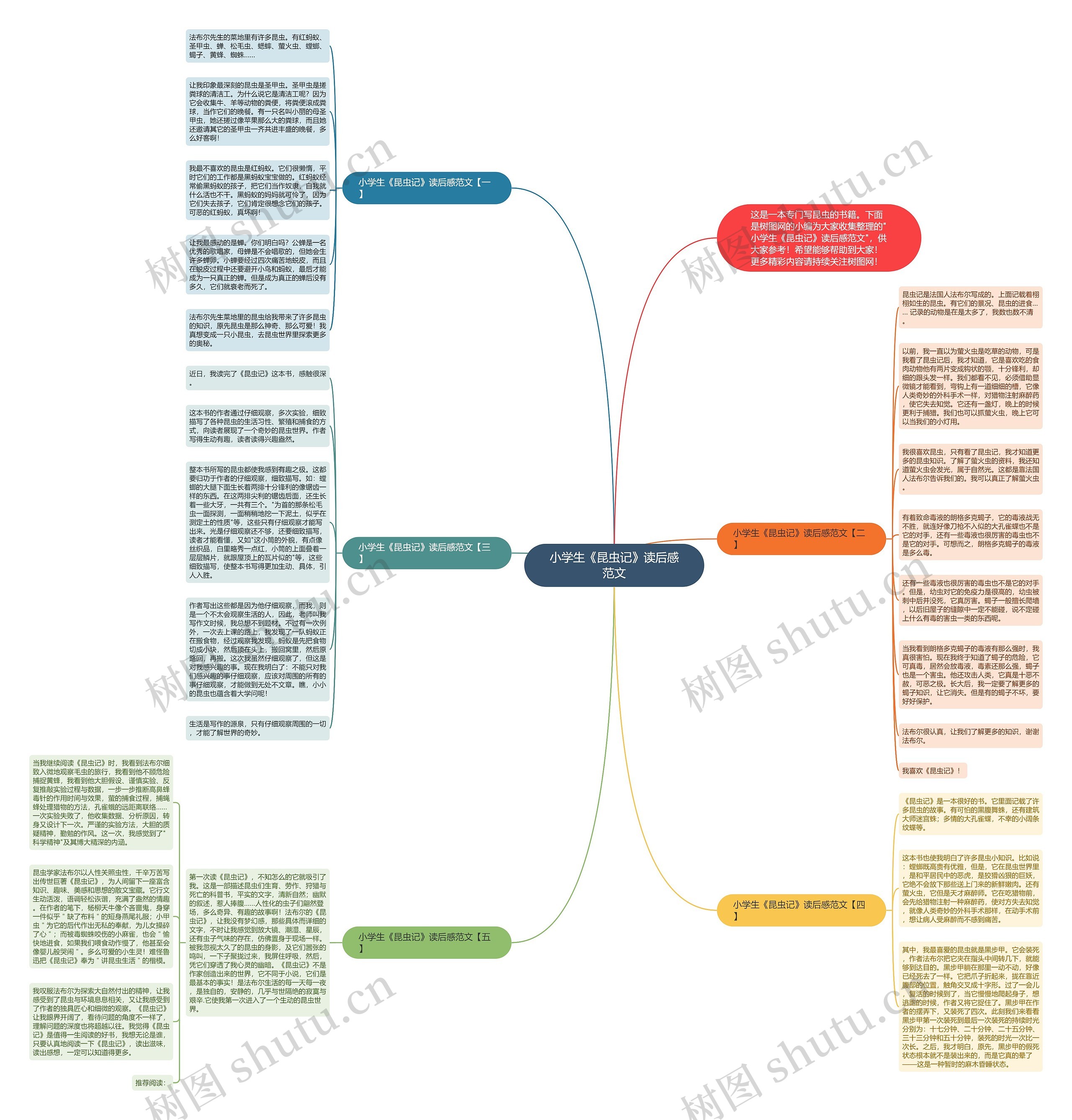 小学生《昆虫记》读后感范文思维导图