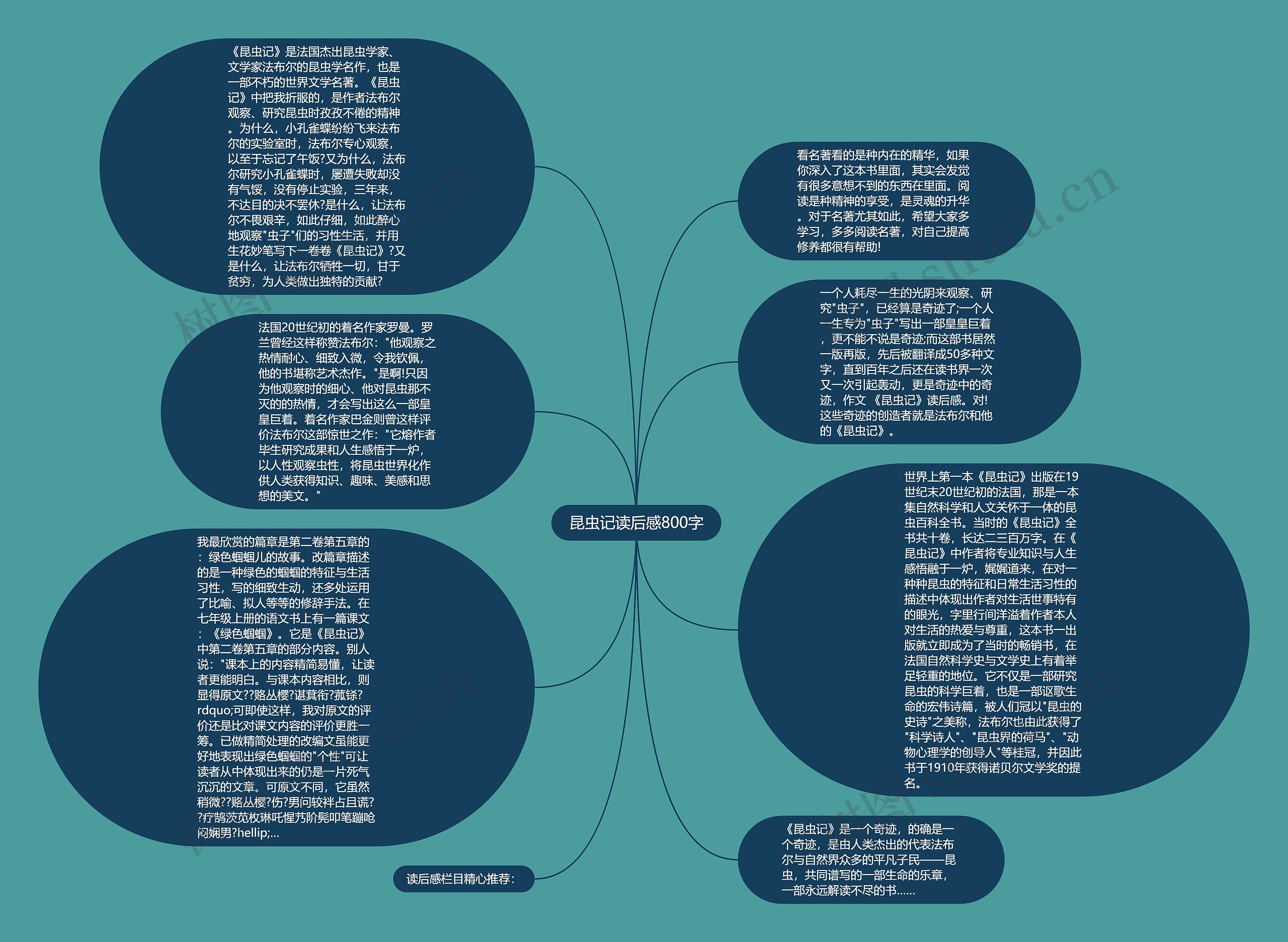 昆虫记读后感800字