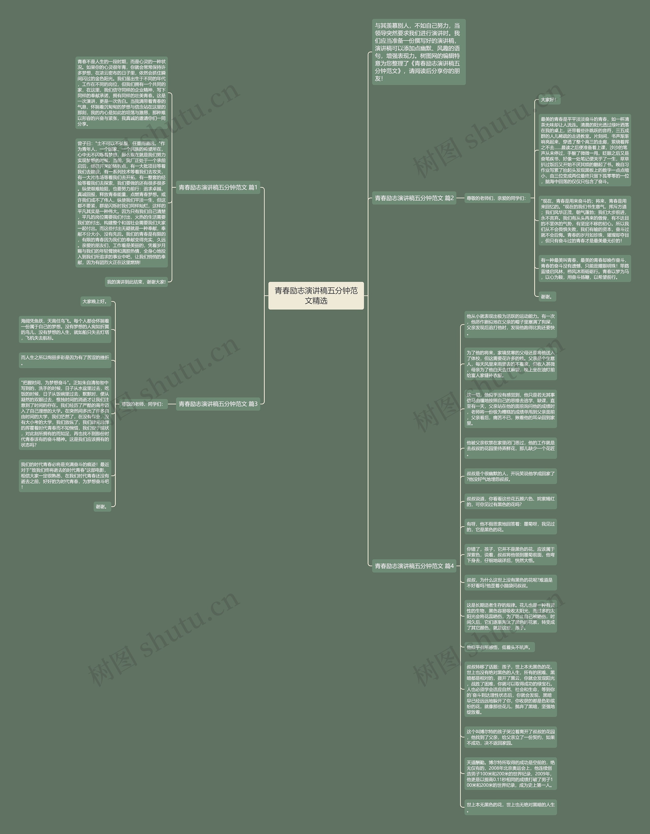 青春励志演讲稿五分钟范文精选思维导图