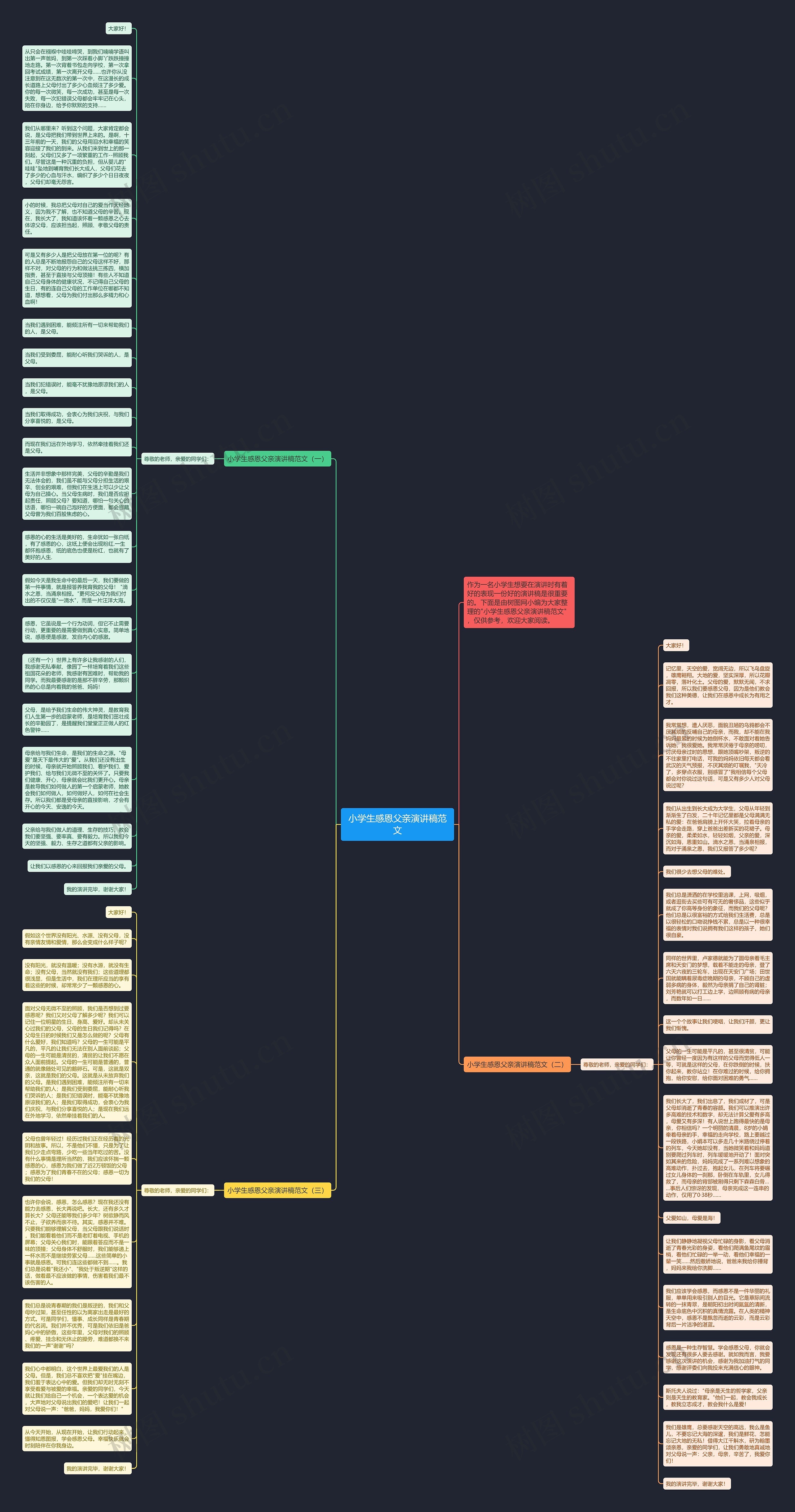 小学生感恩父亲演讲稿范文思维导图